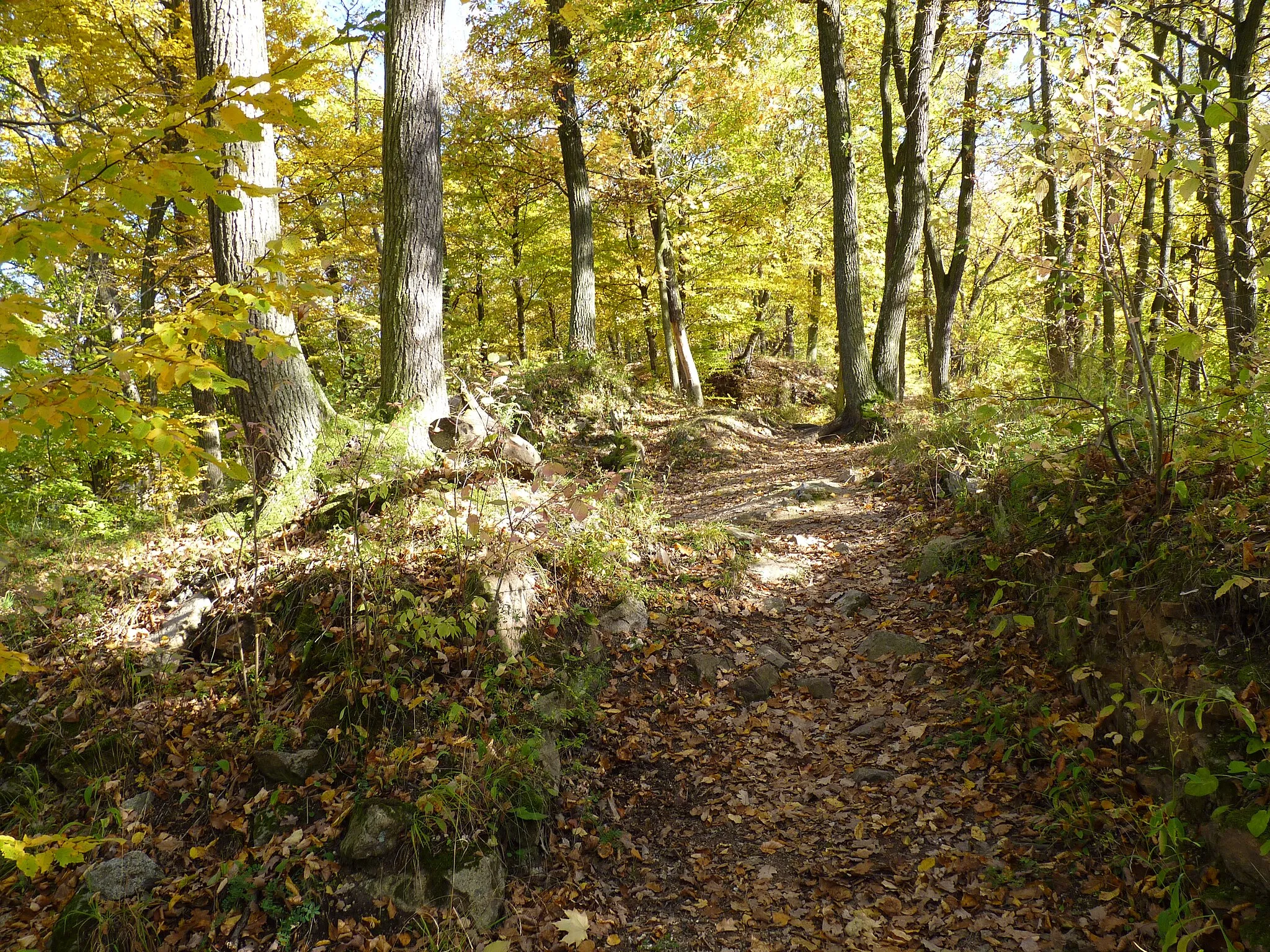 Photo showing: Ruins of Obřany Castle, Kanice, Brno-Country District, South Moravian Region, Czech Republic