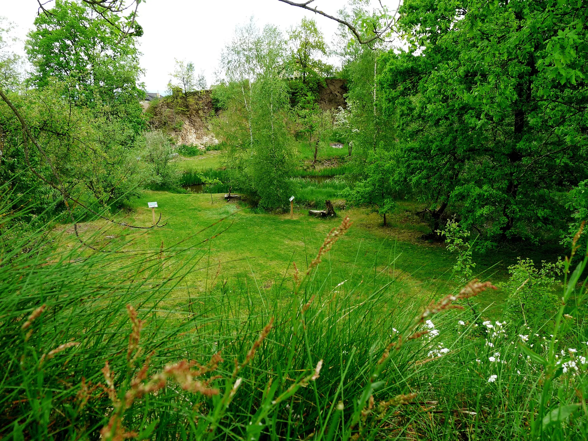 Photo showing: Former quarry in the natural zone Lom Svatá Anna in the town of Tábor, South Bohemian Region, Czech Republic.