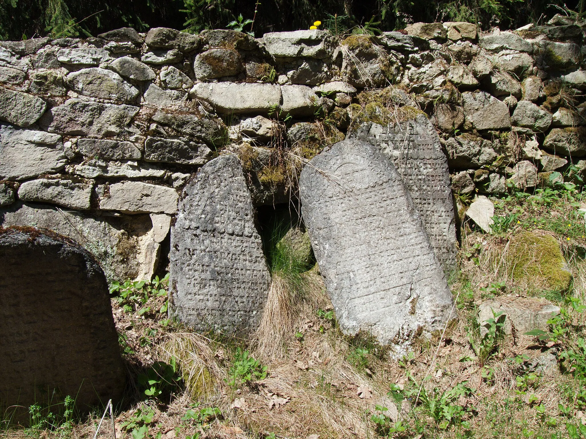 Photo showing: Gravestones at the wall of the Jewish cemetery by the village of Hoštice, Strakonice District, Czech Republic