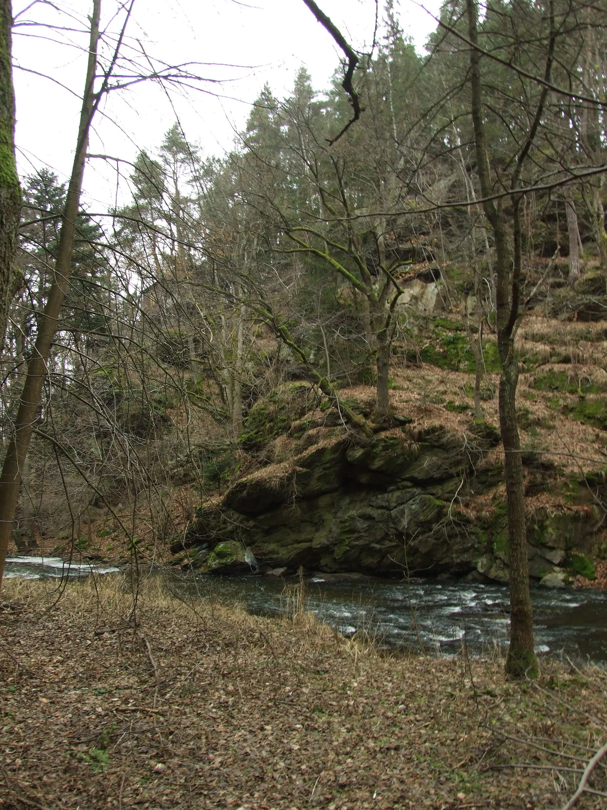 Photo showing: Hamerský potok creek near Jindřiš, a village close to Jindřichův Hradec, South Bohemian Region, CZ