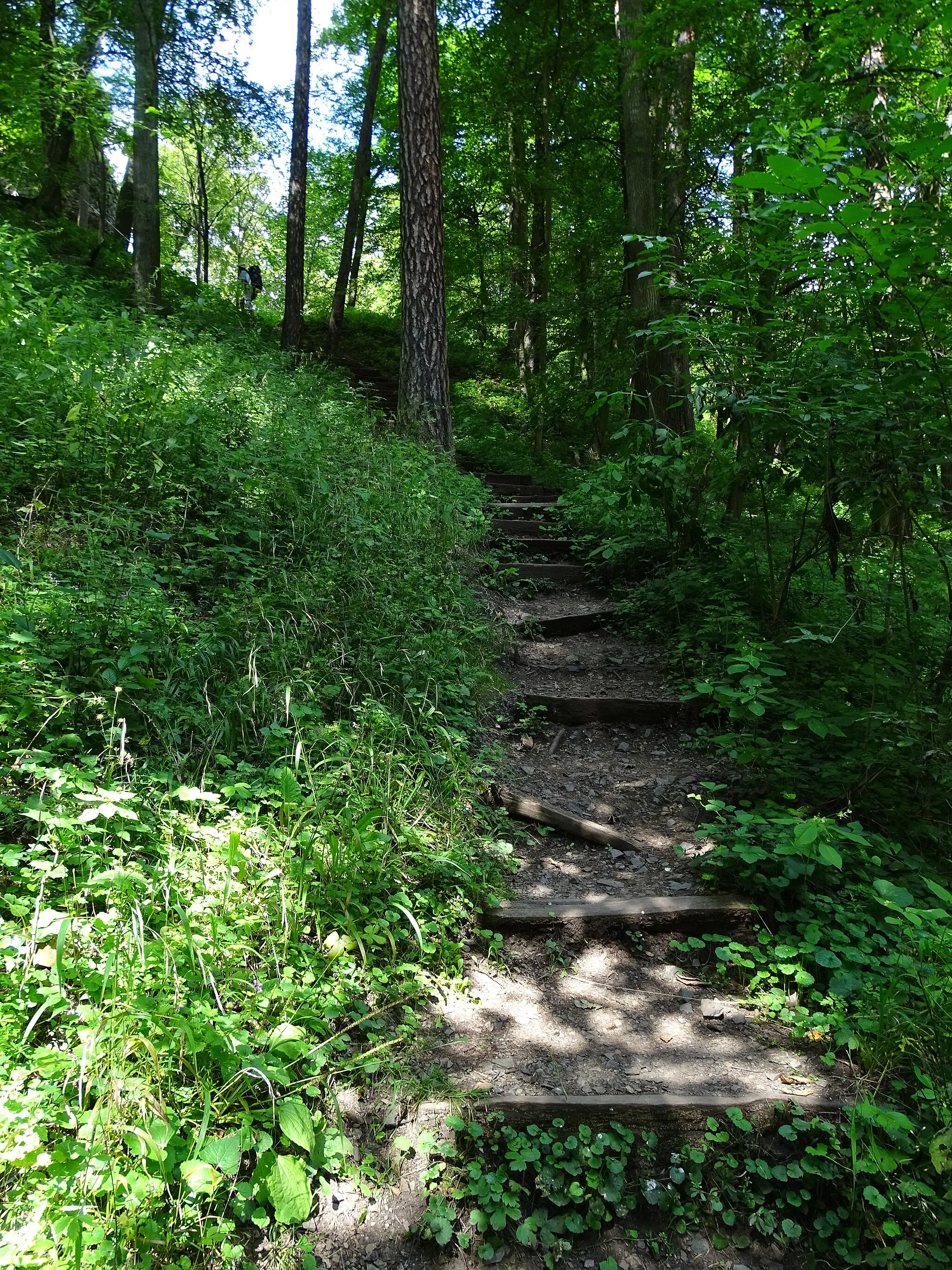 Photo showing: Karlova Ves, Rakovník District, Central Bohemian Region, the Czech Republic. Týřov national nature reserve, a path from Úpořský potok to Týřov castle, a staircase.