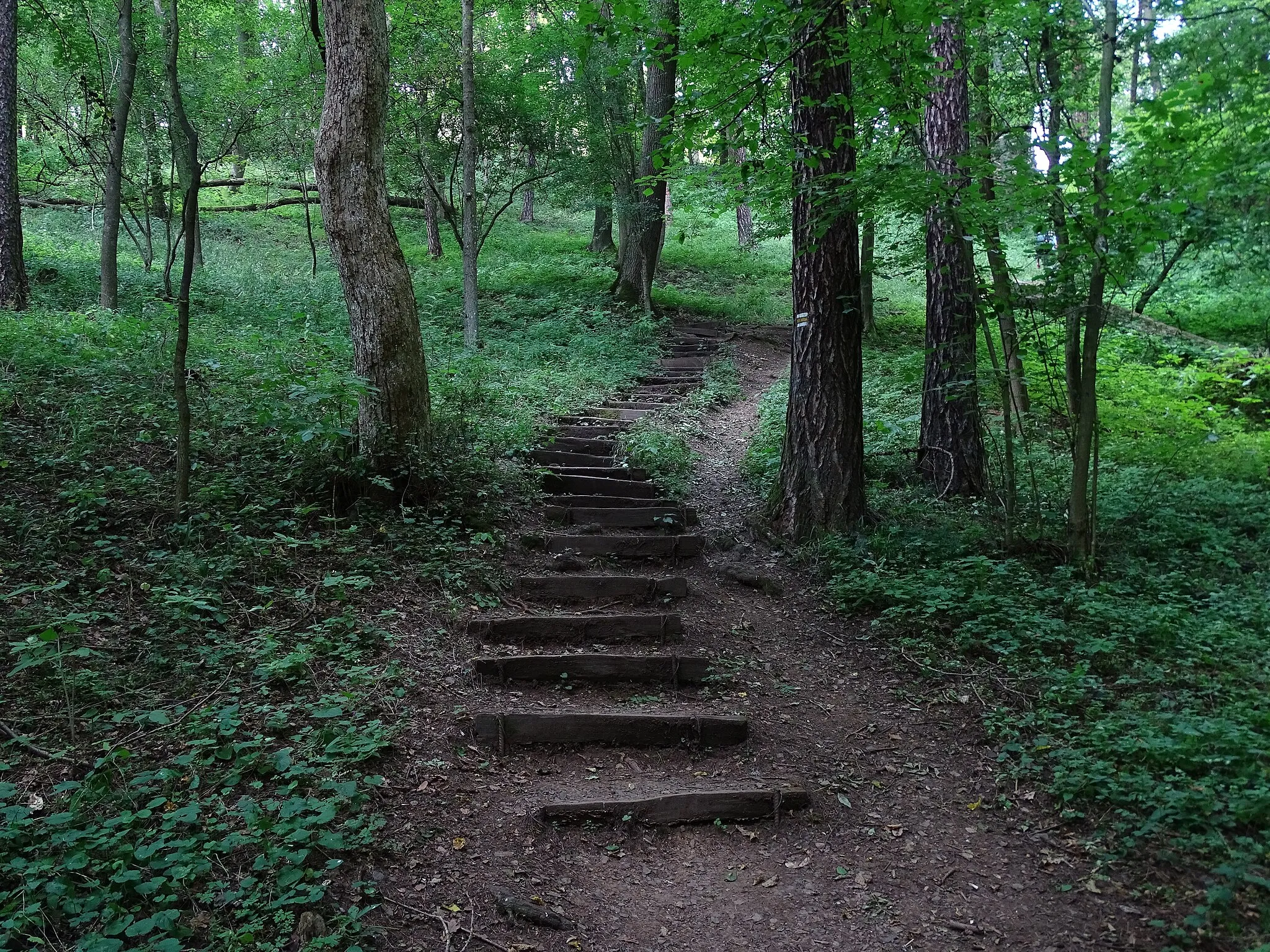 Photo showing: Karlova Ves, Rakovník District, Central Bohemian Region, the Czech Republic. Týřov national nature reserve, a path from Úpořský potok to Týřov castle, a staircase.