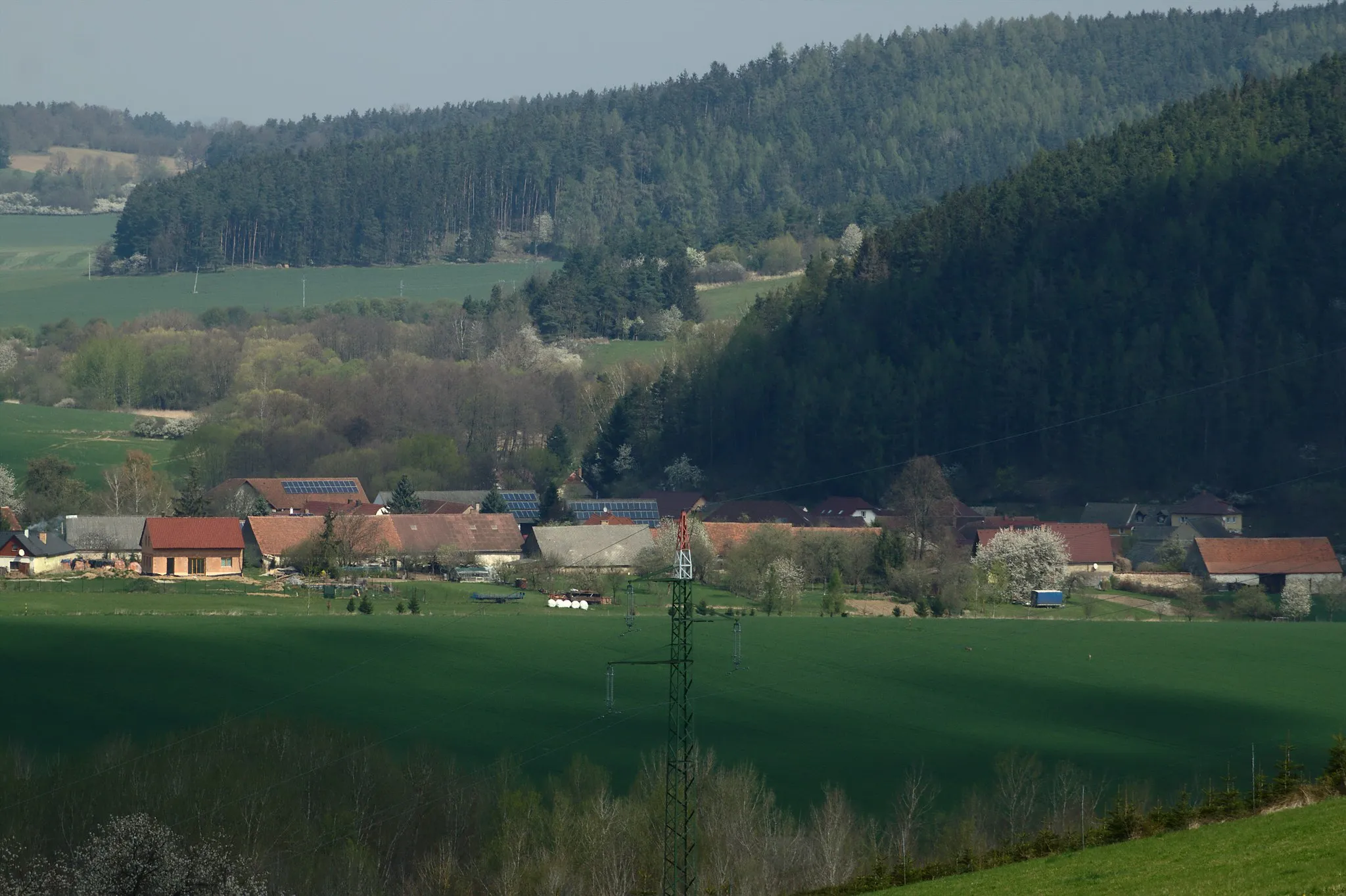 Photo showing: View of the village of Tedražice, Plzeň Region, CZ