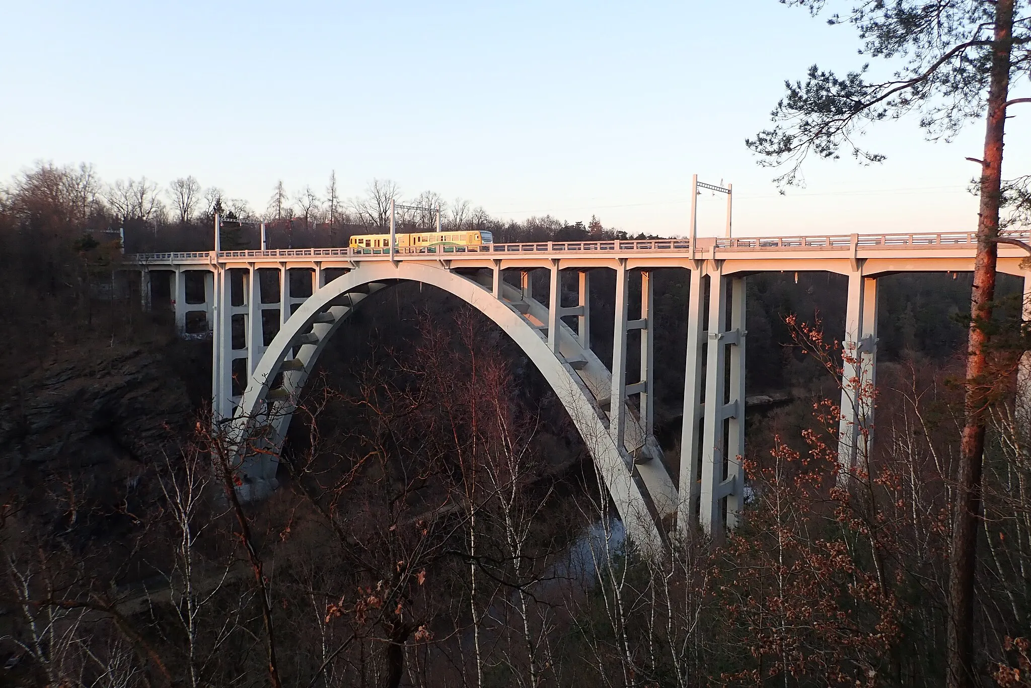 Photo showing: Motorová jednotka Regionova na Bechyňském mostu Duha