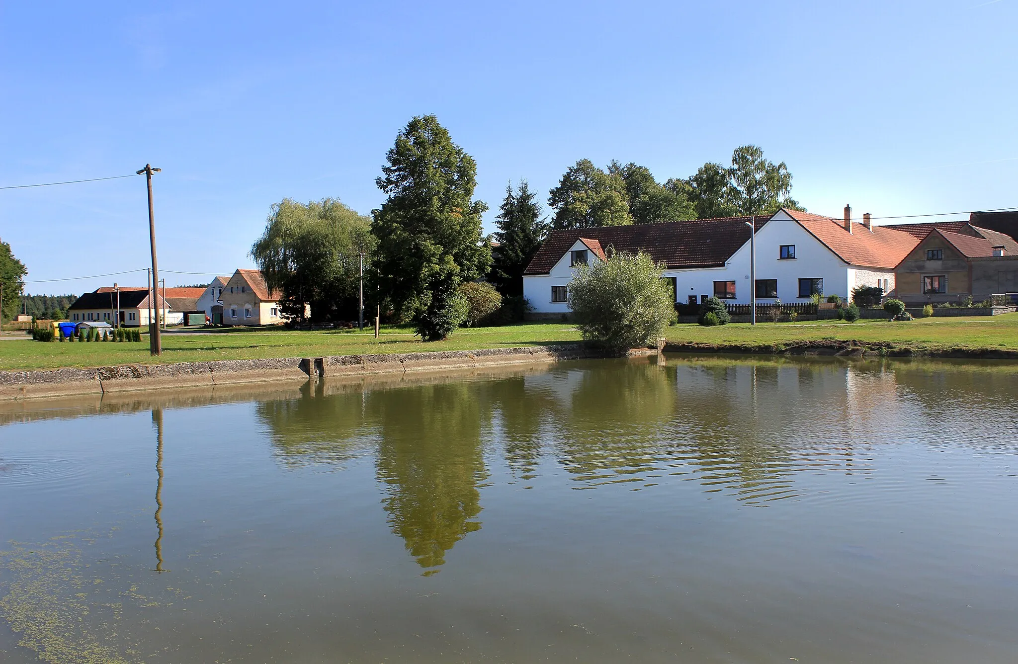 Photo showing: Common pond in Zadní Vydří, Czech Republic.