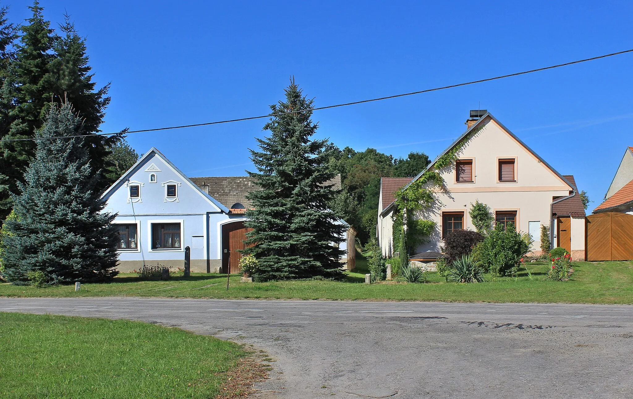 Photo showing: Common in Zadní Vydří, Czech Republic.