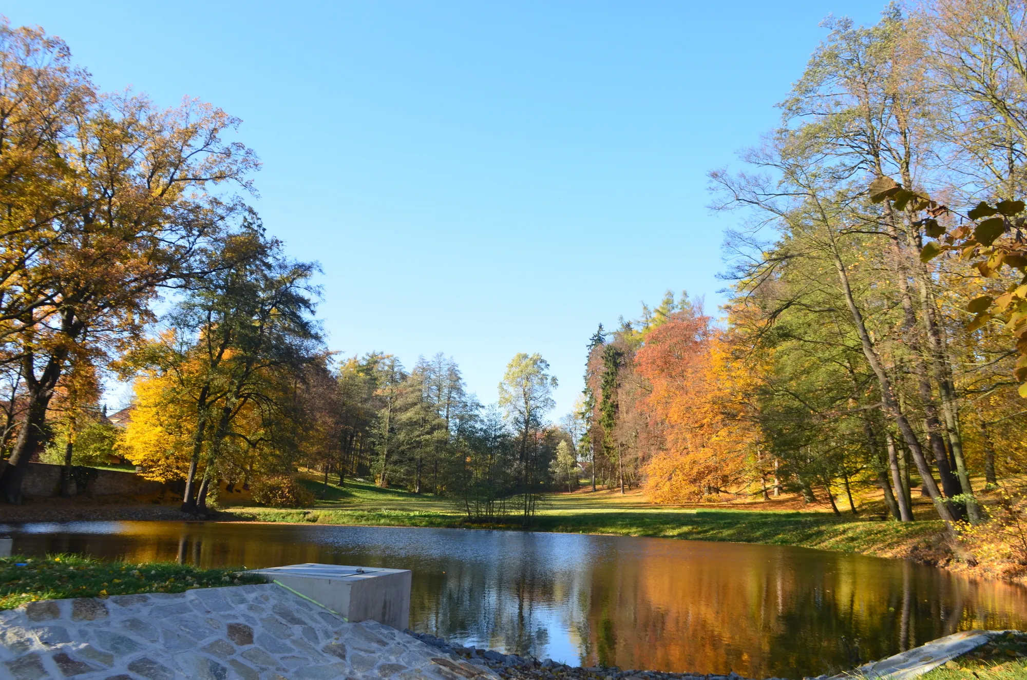 Photo showing: Židovský rybník v zámeckém parku