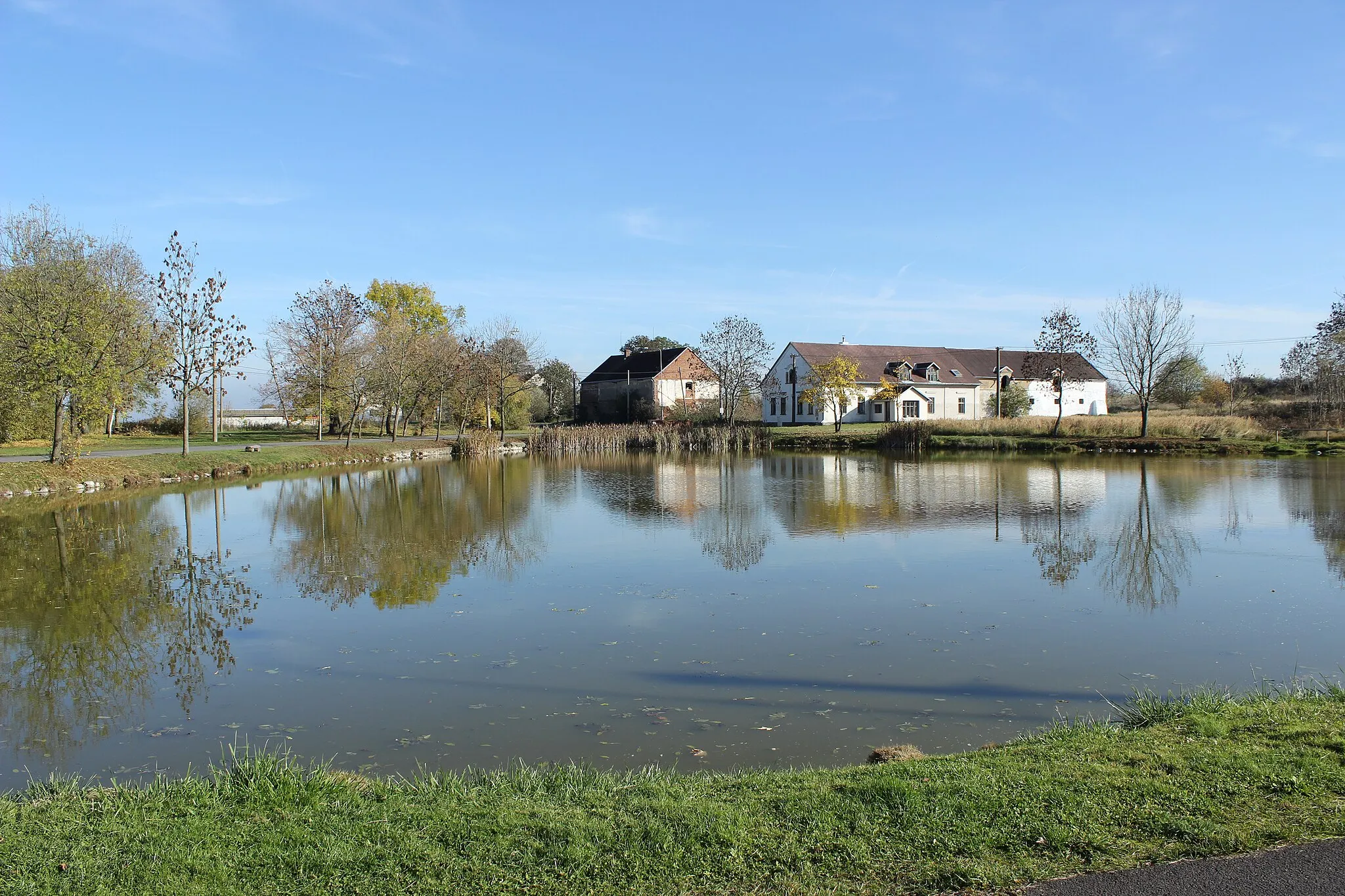 Photo showing: Rybník v Mokré, části Čichalov (pohled od západu).