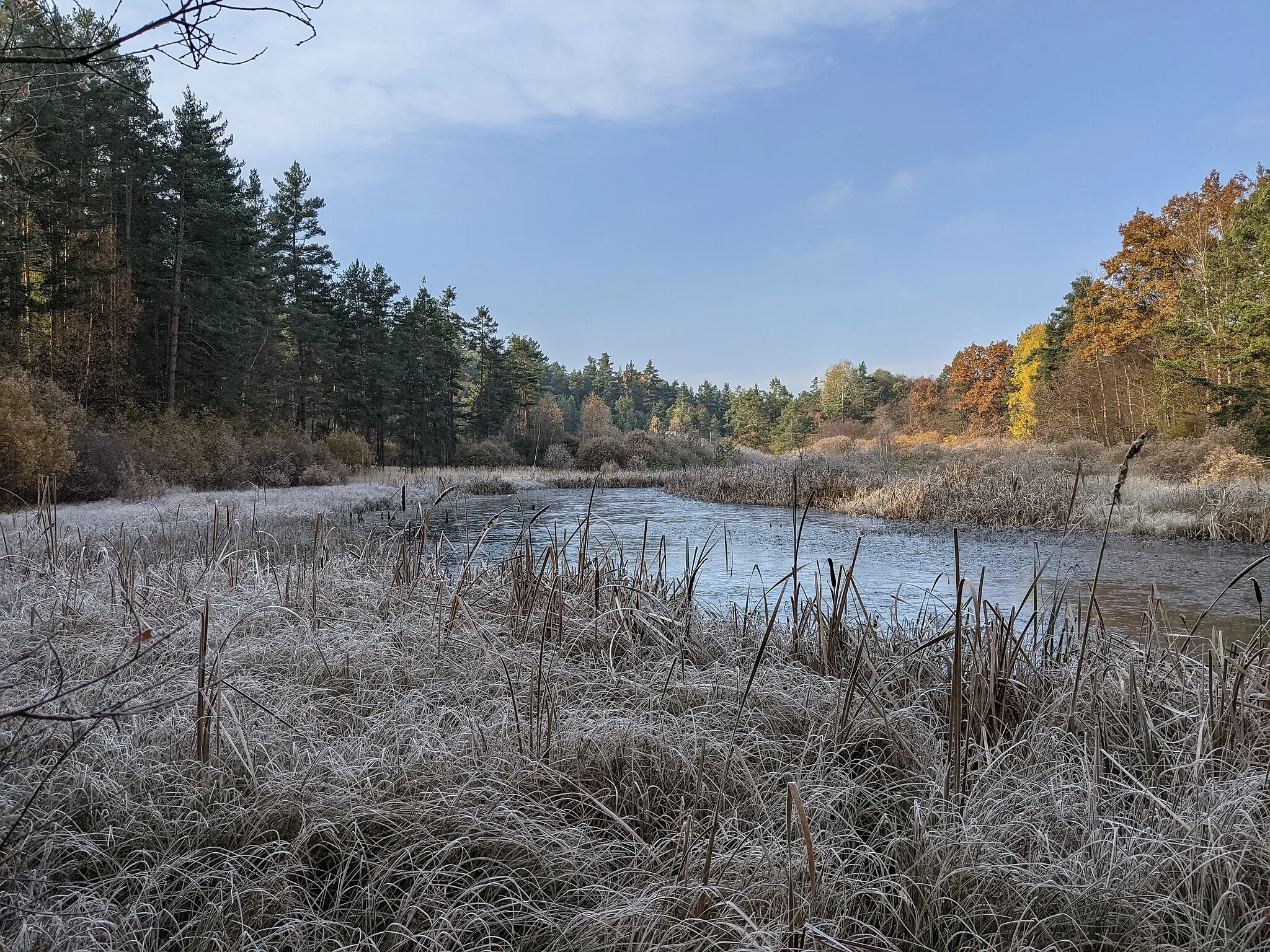 Photo showing: Pond in PP Dablik