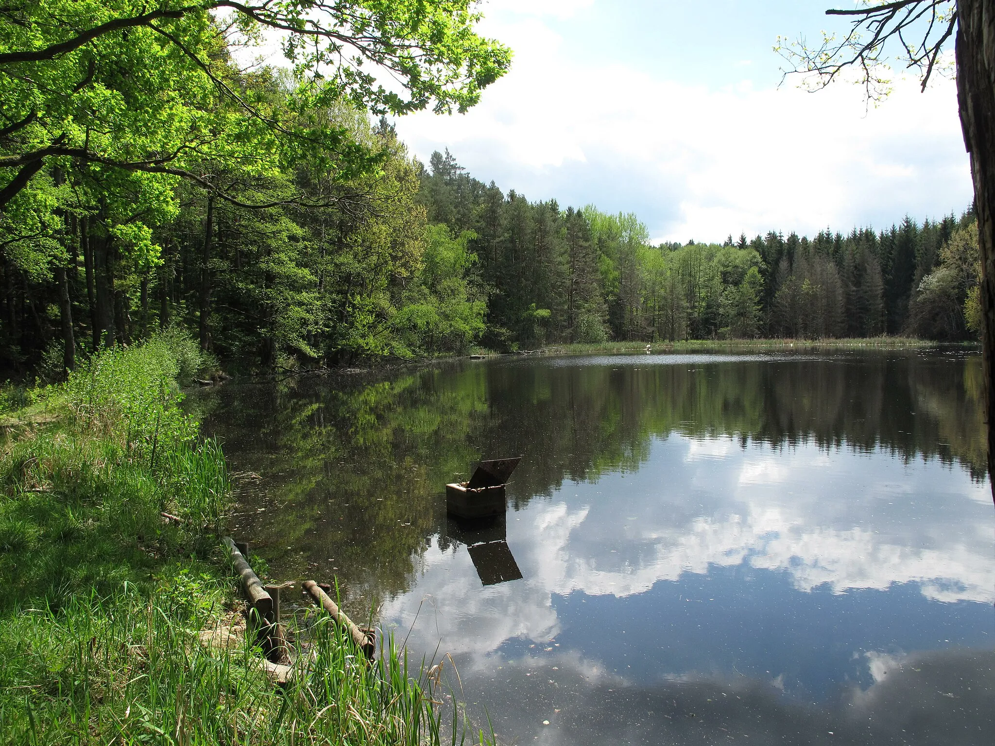 Photo showing: Přírodní památka Přesličkový rybník, samotný Přesličkový rybník