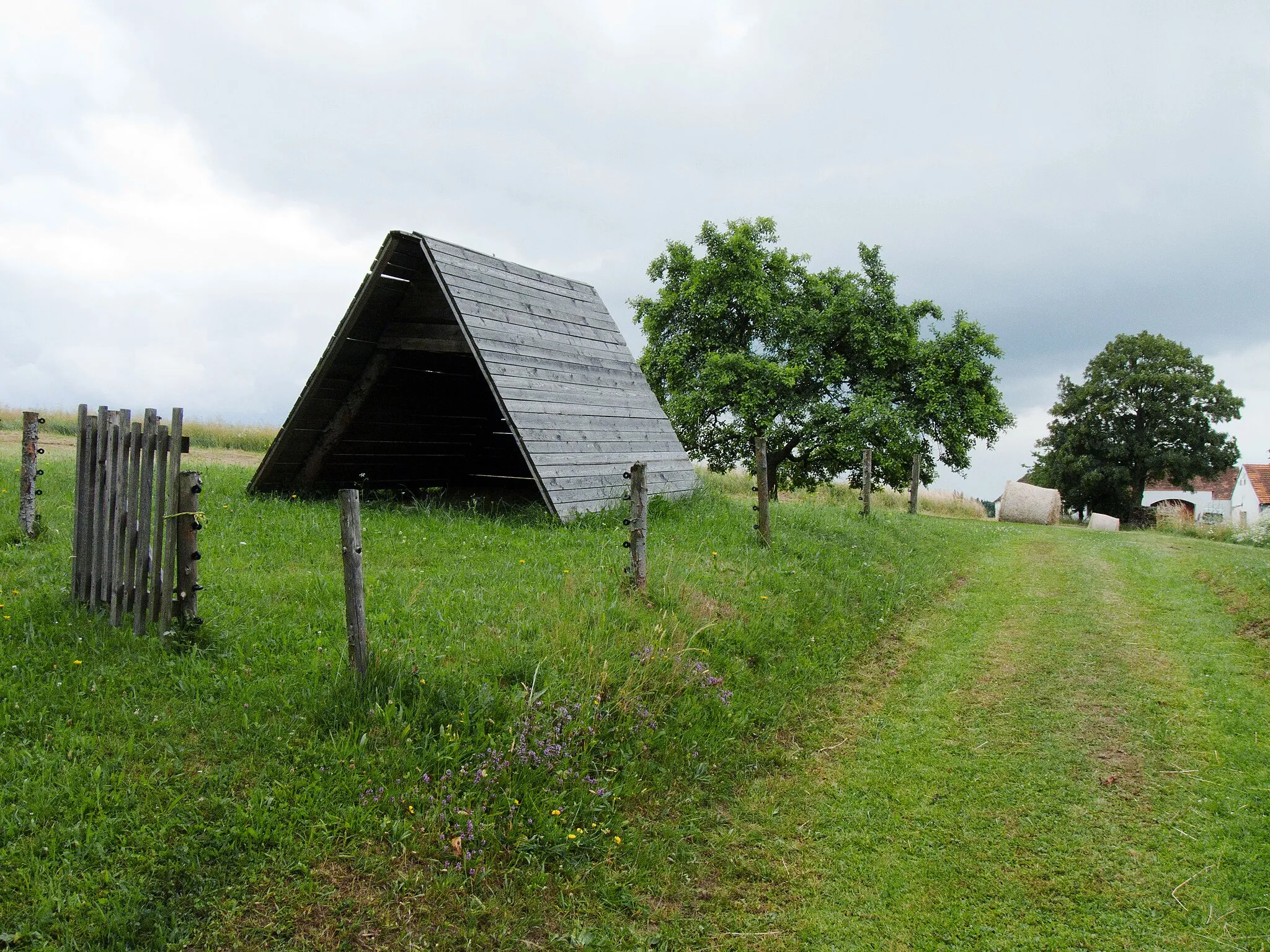 Photo showing: Hay hut in the village of Jelmo, České Budějovice District, Czech Republic, with houses No 31 and 25 on the right.