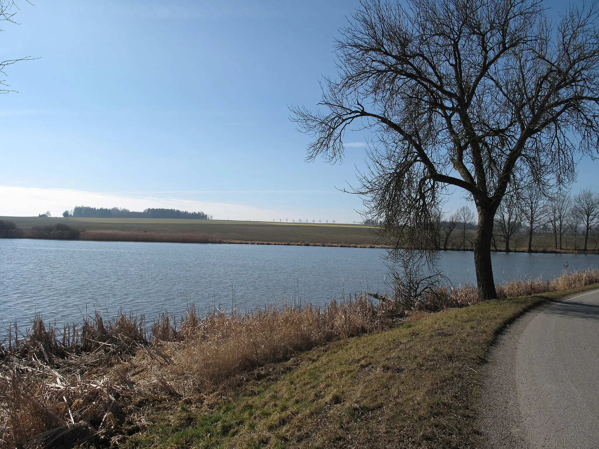 Photo showing: Pondin Novosedly. České Budějovice District, Czech Republic.