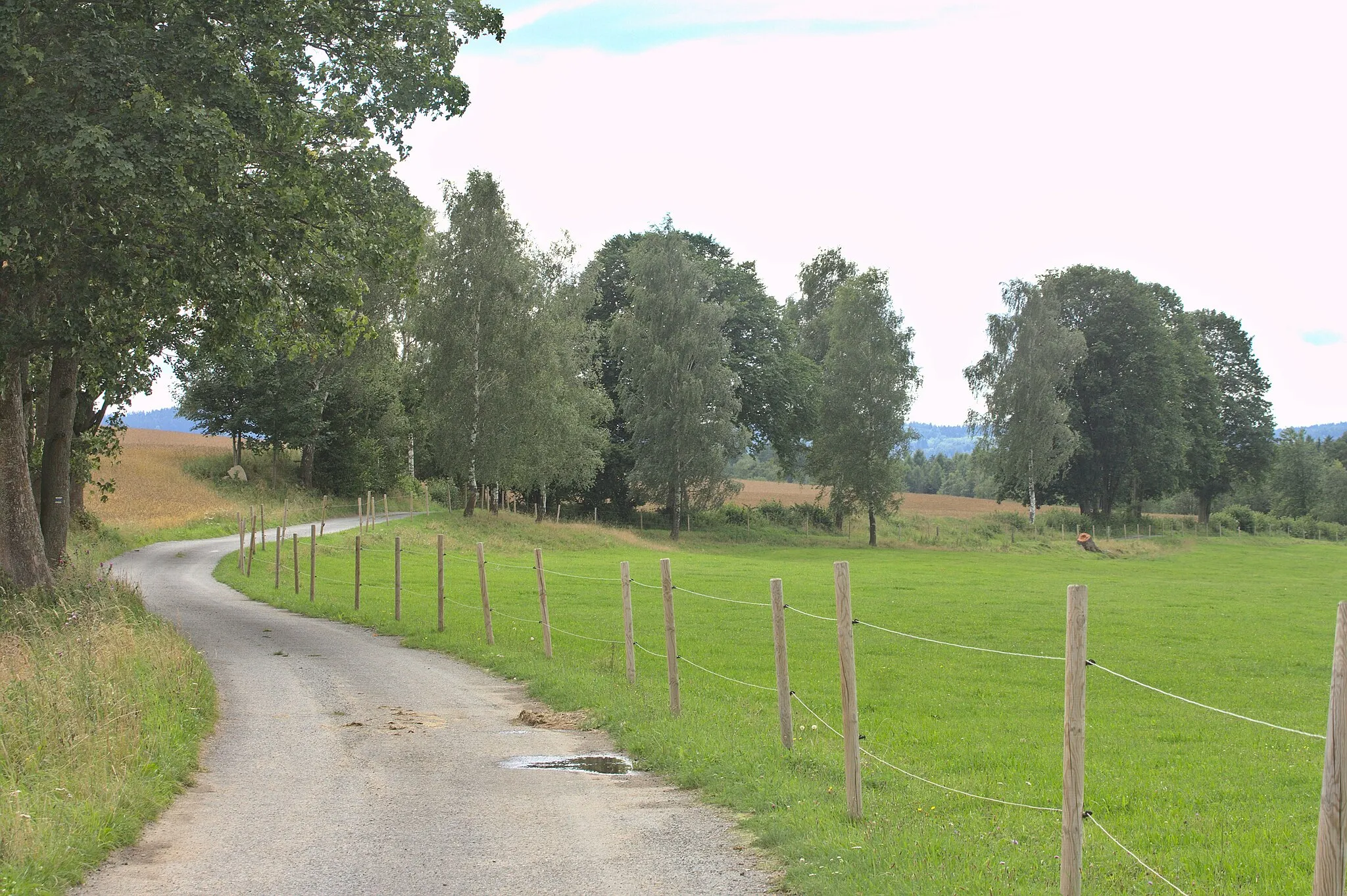 Photo showing: A road near Všeměřice, South Bohemian Region, CZ