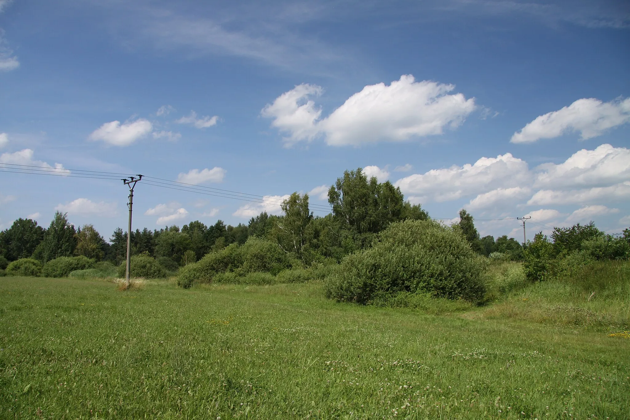 Photo showing: National nature reserve Velký a Malý Tisý in Jindřichův Hradec District, Czech Republic