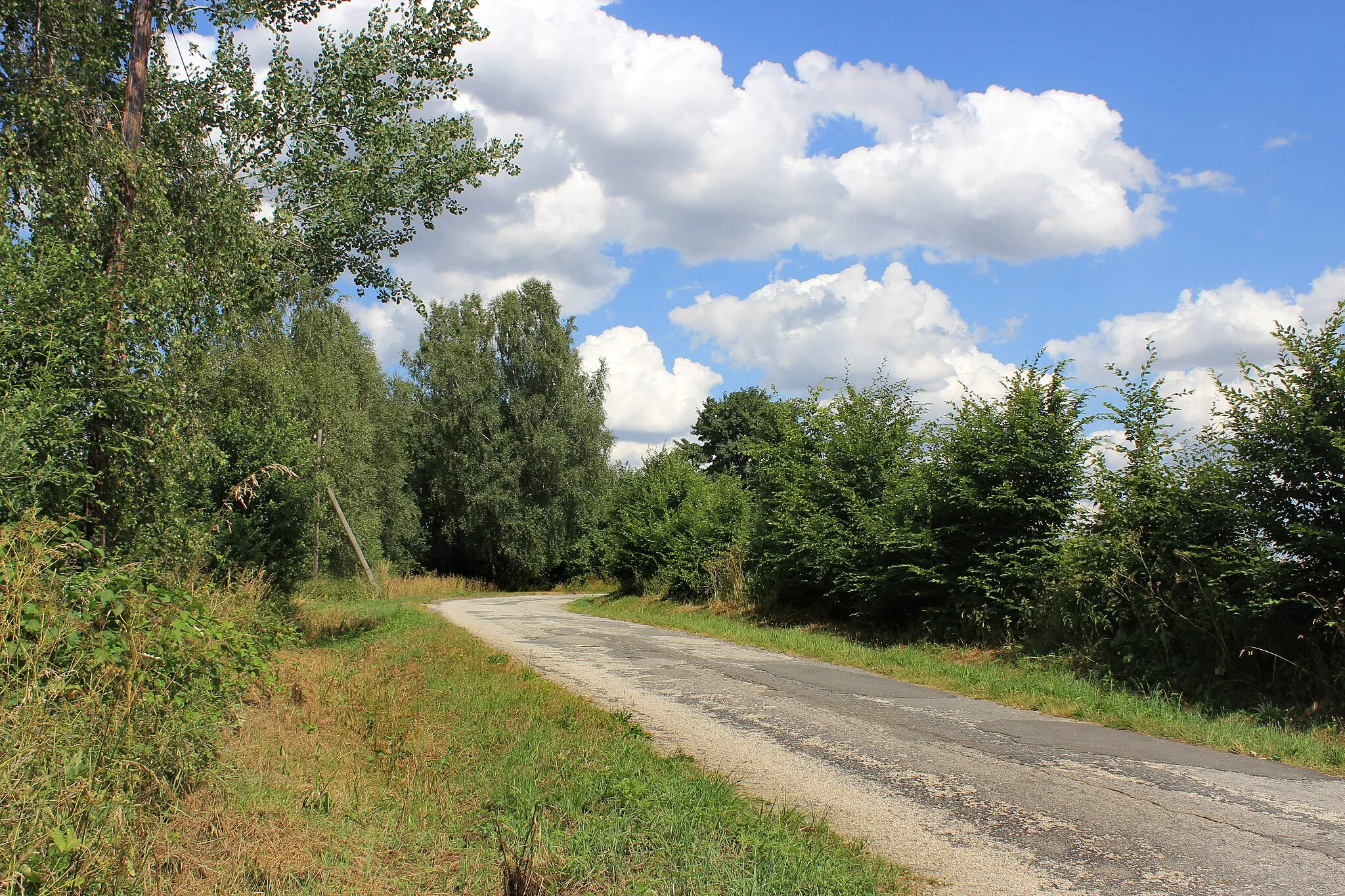 Photo showing: Road from Veclov to Staré Město pod Landštejnem, Czech Republic.