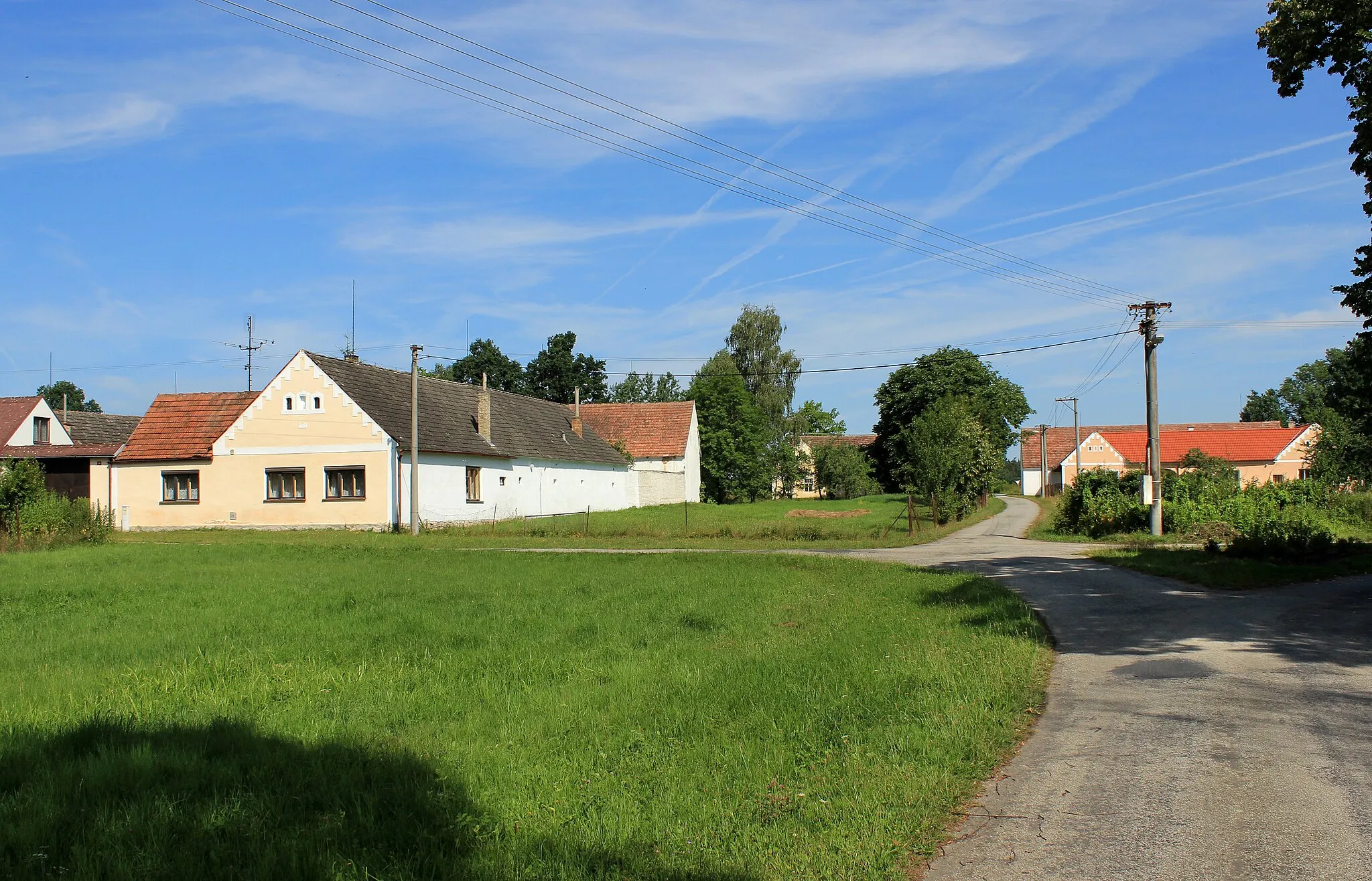 Photo showing: Common in Hrachoviště, Czech Republic.