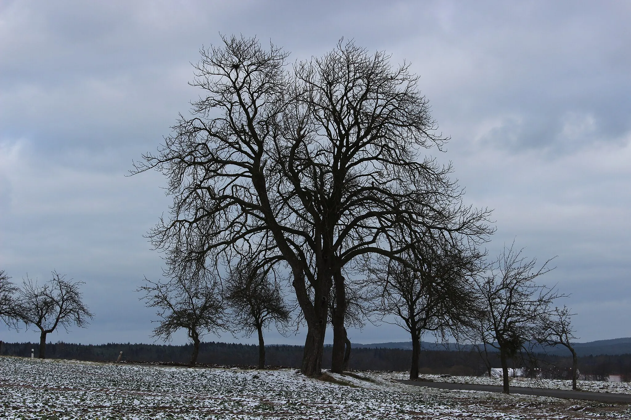 Photo showing: U komunikace ve směru na Oslov po levé straně kříž rodiny Márovy. Vlastec (okres Písek). Česká republika.