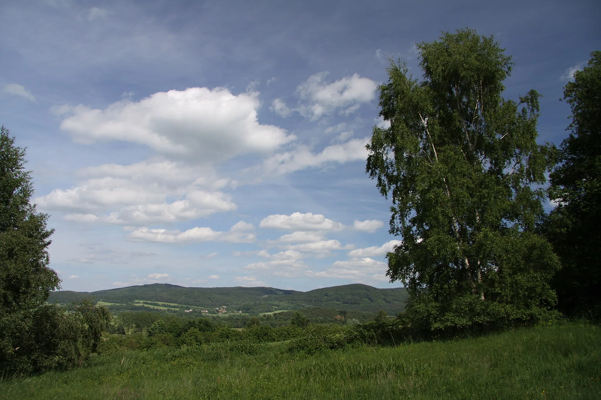 Photo showing: Natural monument Štěrbů louka near Lhenice, Prachatice District, Czech Republic