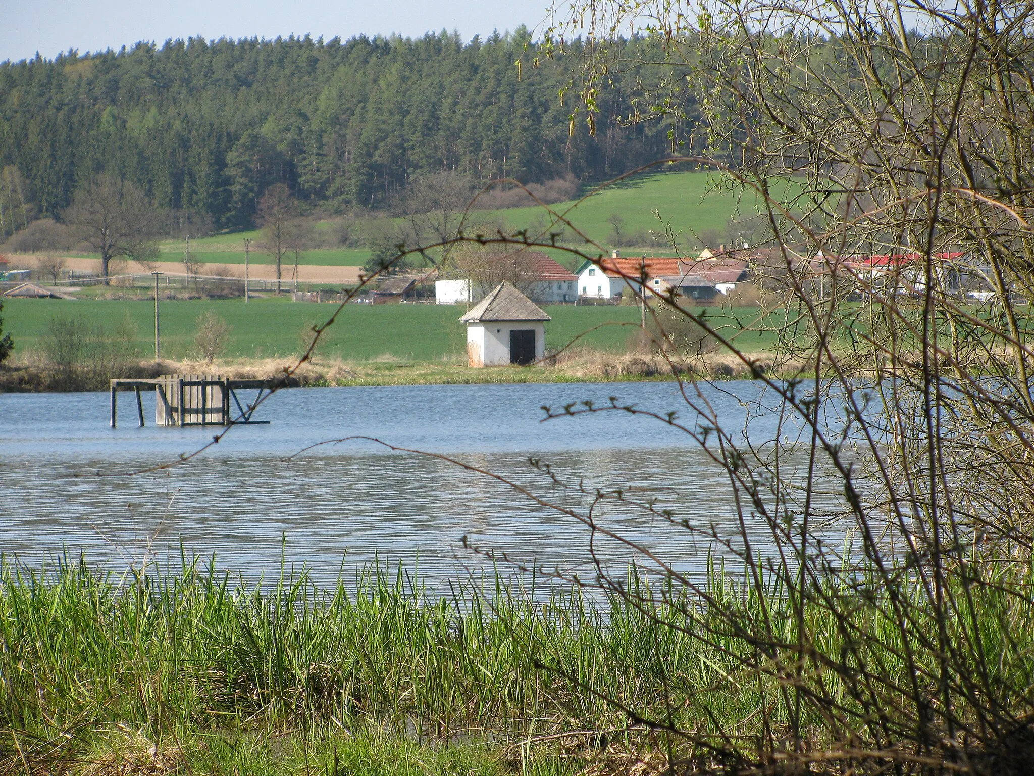 Photo showing: Pohled na Málkov (neidentifikovaný) od Velkého rybníka