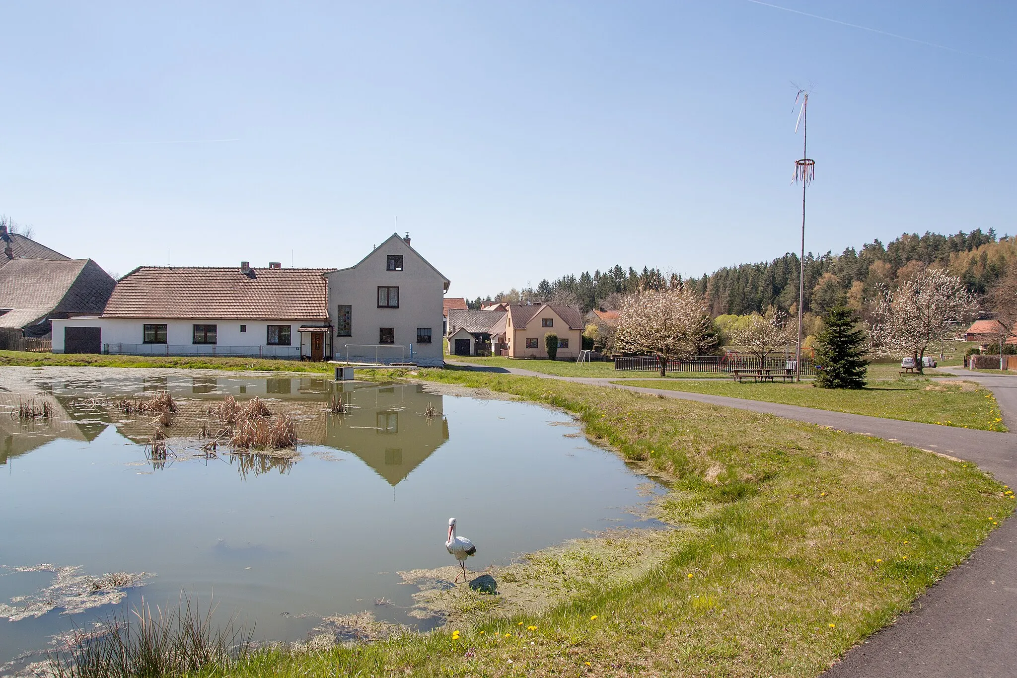 Photo showing: Pond in municipality Rodná, Tábor District, South Bohemian Region, Czechia