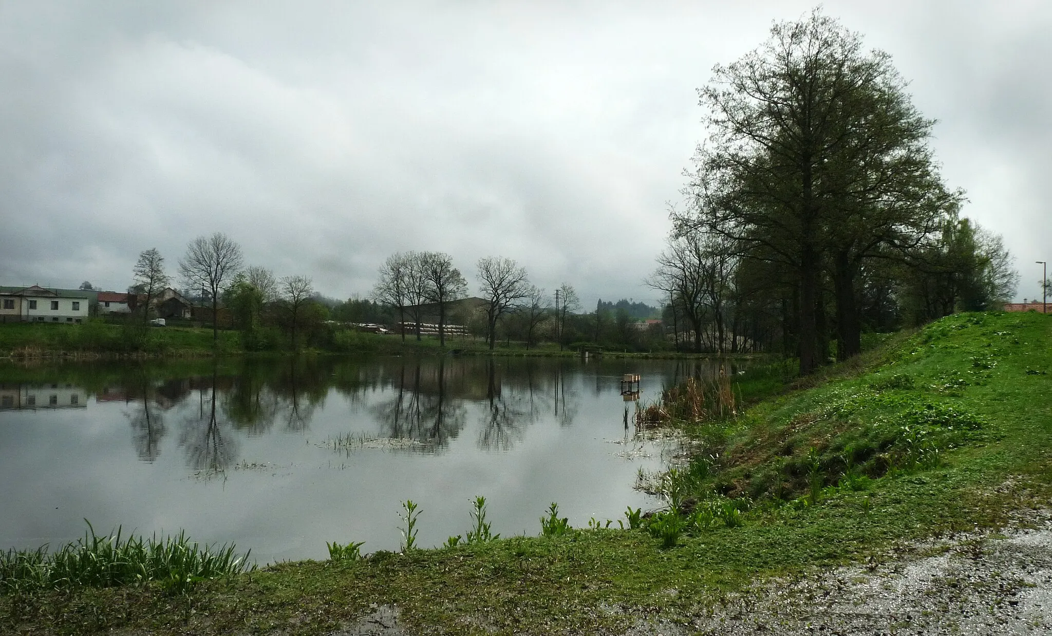 Photo showing: Podvesní pond in the village of Nemyšl, Tábor district, Czech Republic, with Podvesní pond at the background.