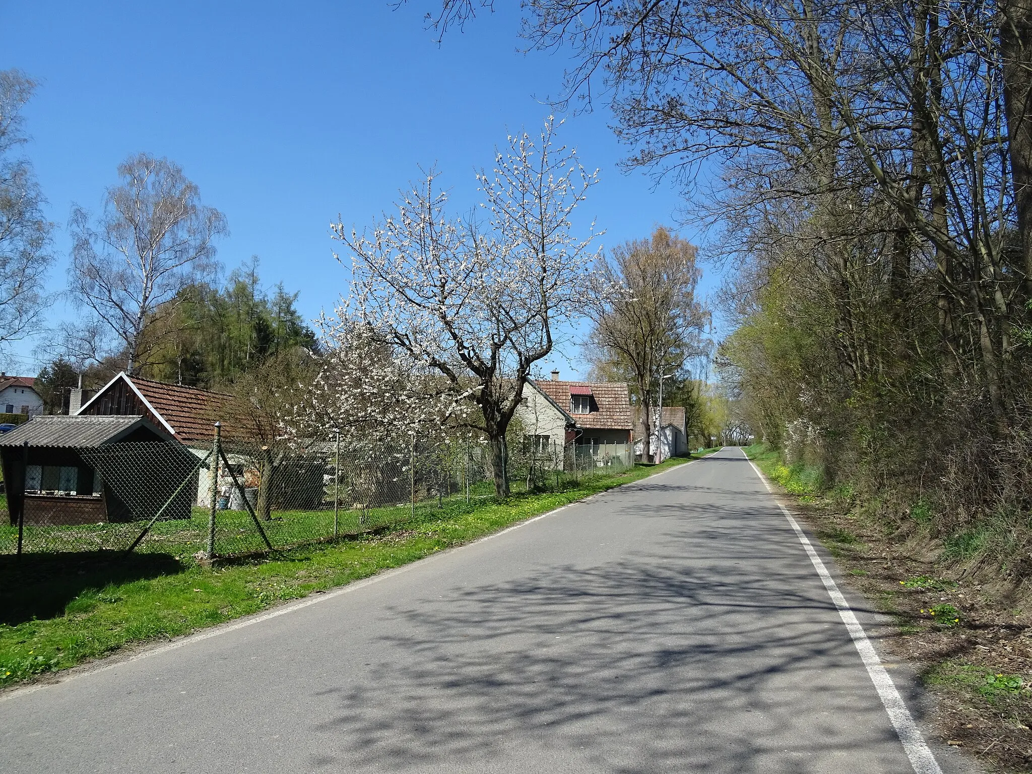 Photo showing: This photograph was created as a part of Wikiexpedition Mladá Vožice, a project supported by Wikimedia Foundation grant.