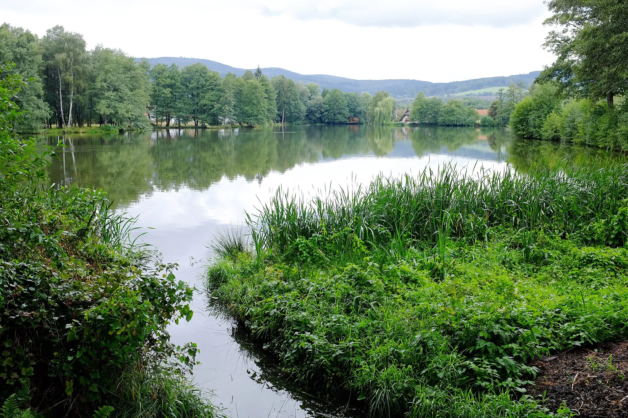Photo showing: Pila, část obce Trhanov, Velký rybník, okres Domažlice