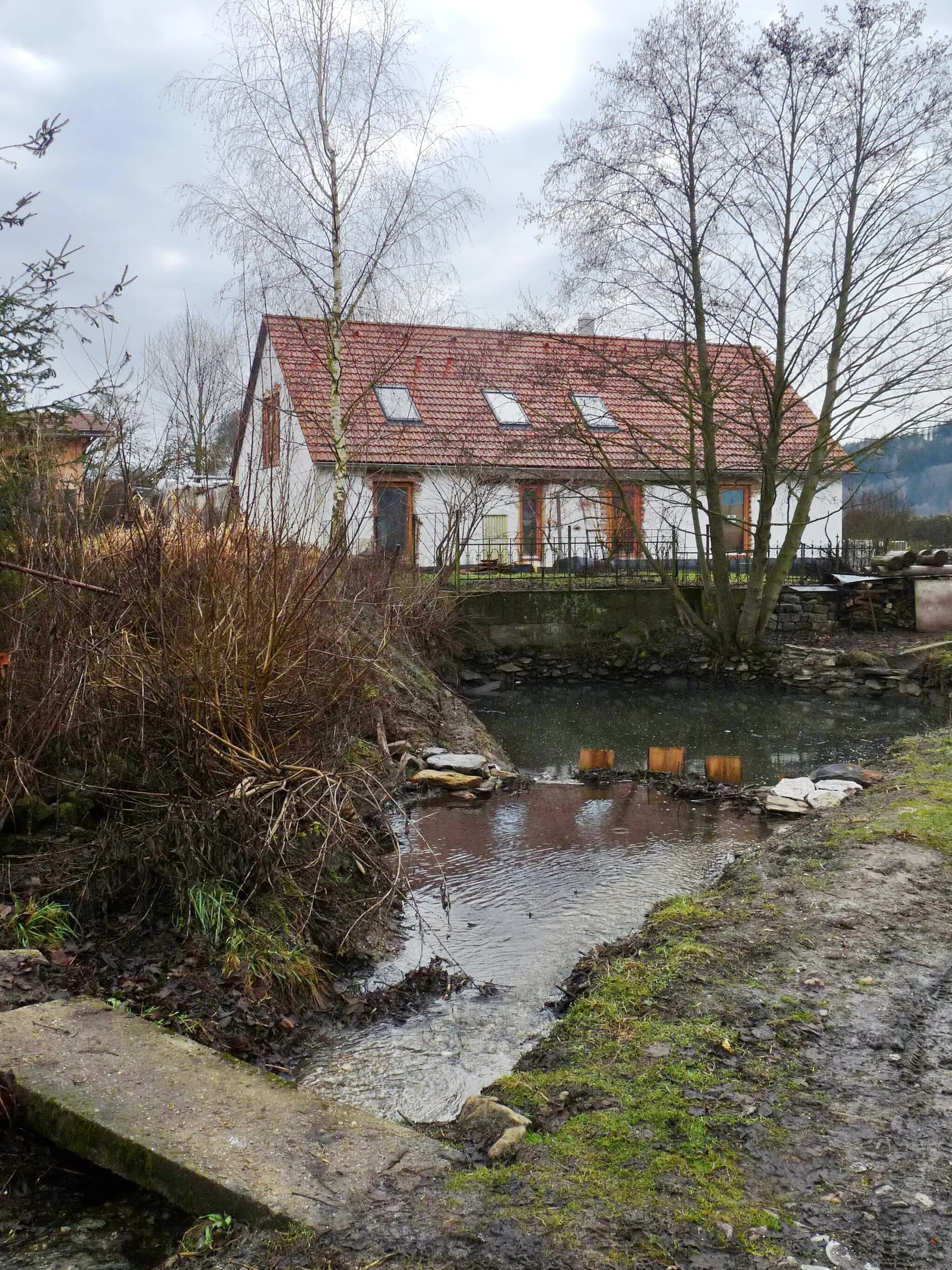 Photo showing: Pond in the village of Dolní Staňkov, Klatovy District, Plzeň Region, Czech Republic.