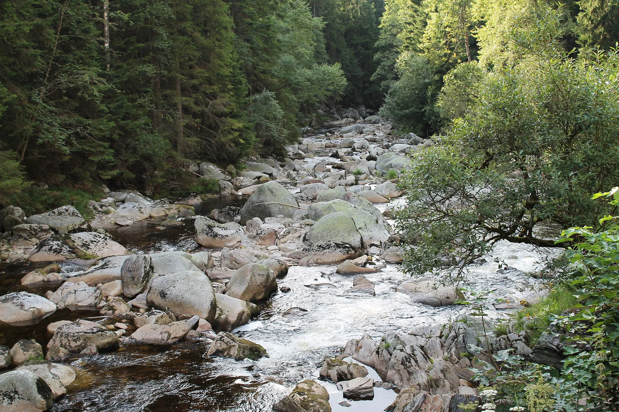 Photo showing: Vydra River near to Turnerova chata, Svojše, Rejštejn/Srní, Klatovy District, Czech Republic