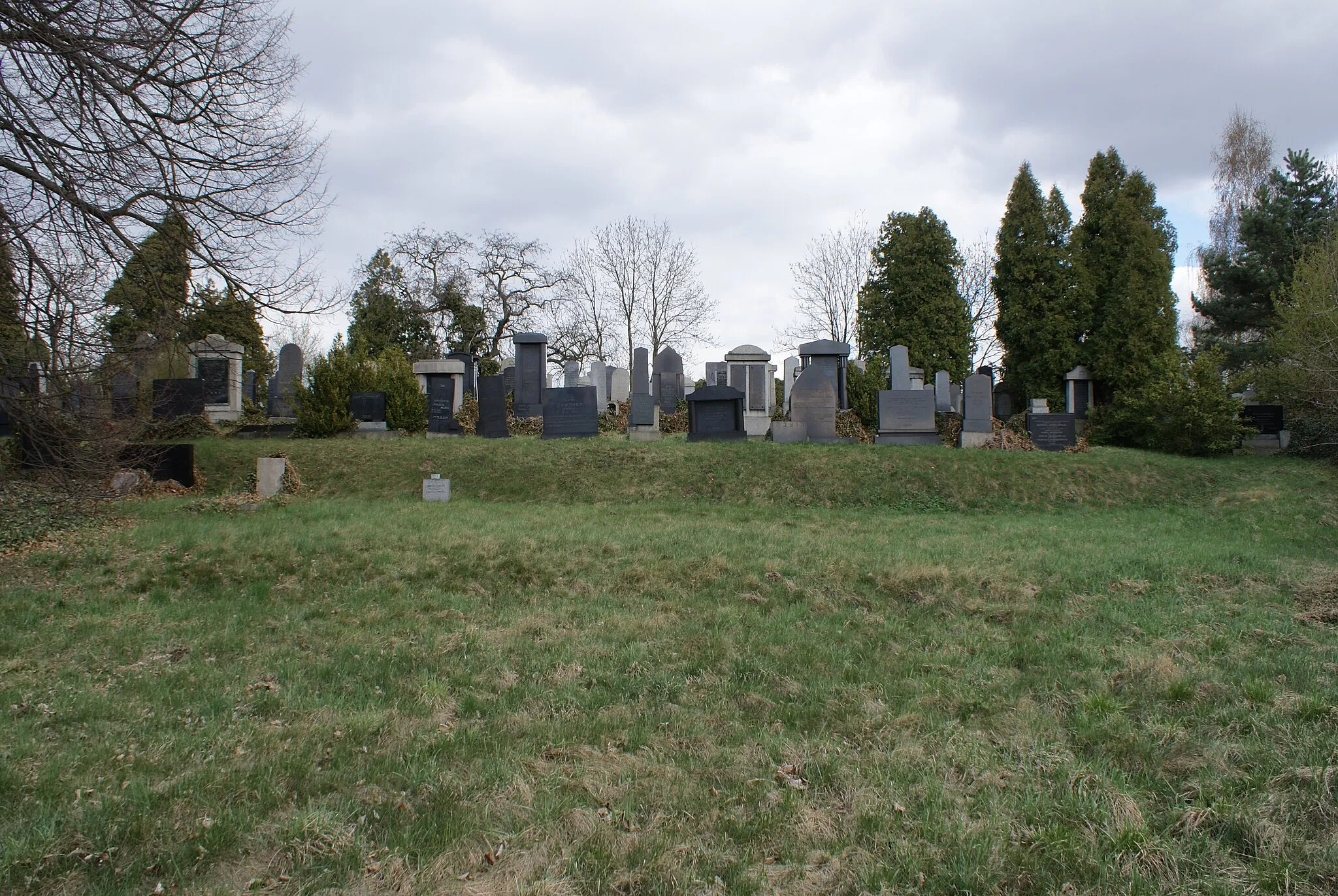 Photo showing: Jewish cemetery in Klatovy, Klatovy district, Czech Republic.