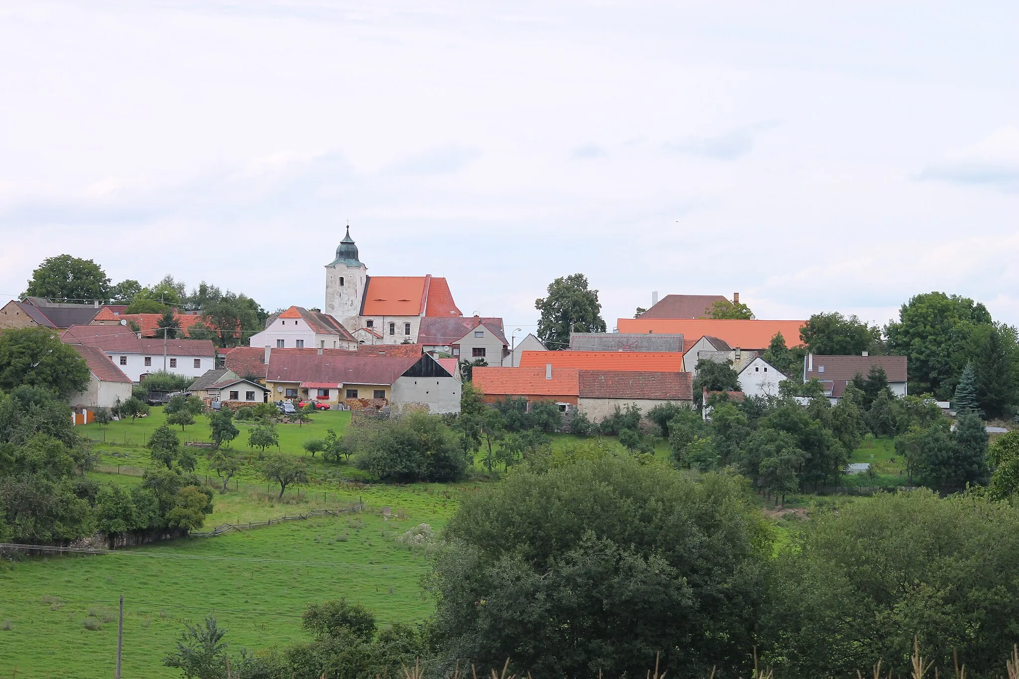 Photo showing: Bukovník