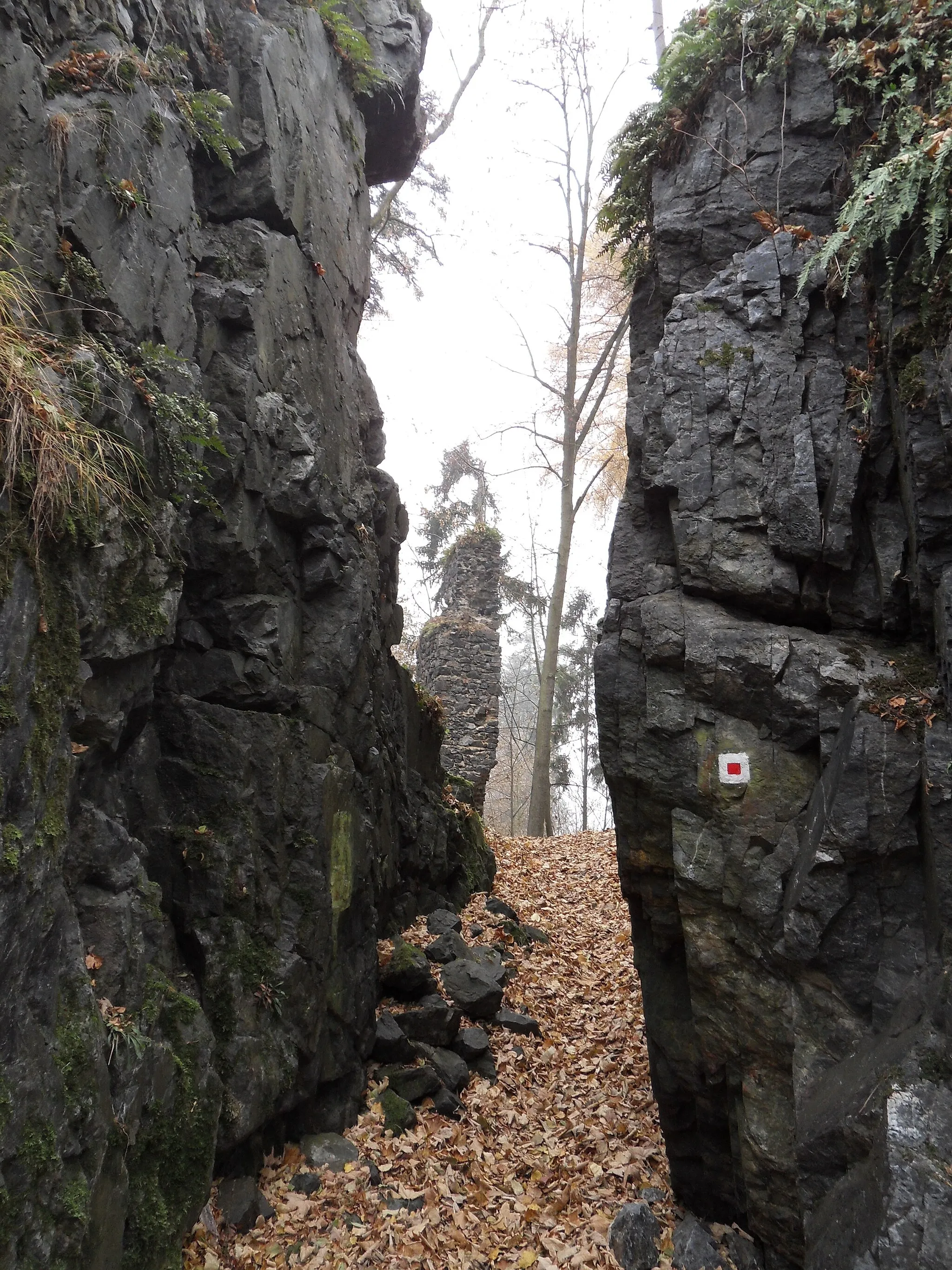 Photo showing: Castle Skála (Ruins of castle in Plzeň-South District ). The "Gate" to the southern part of the castle,