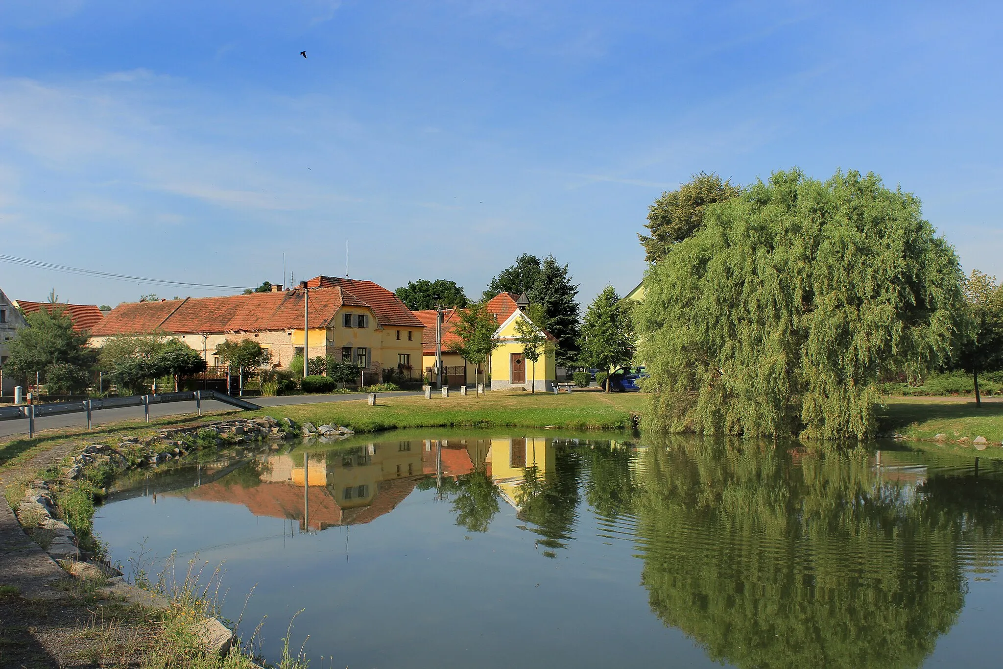 Photo showing: Common pond in Kotovice, Czech Republic.