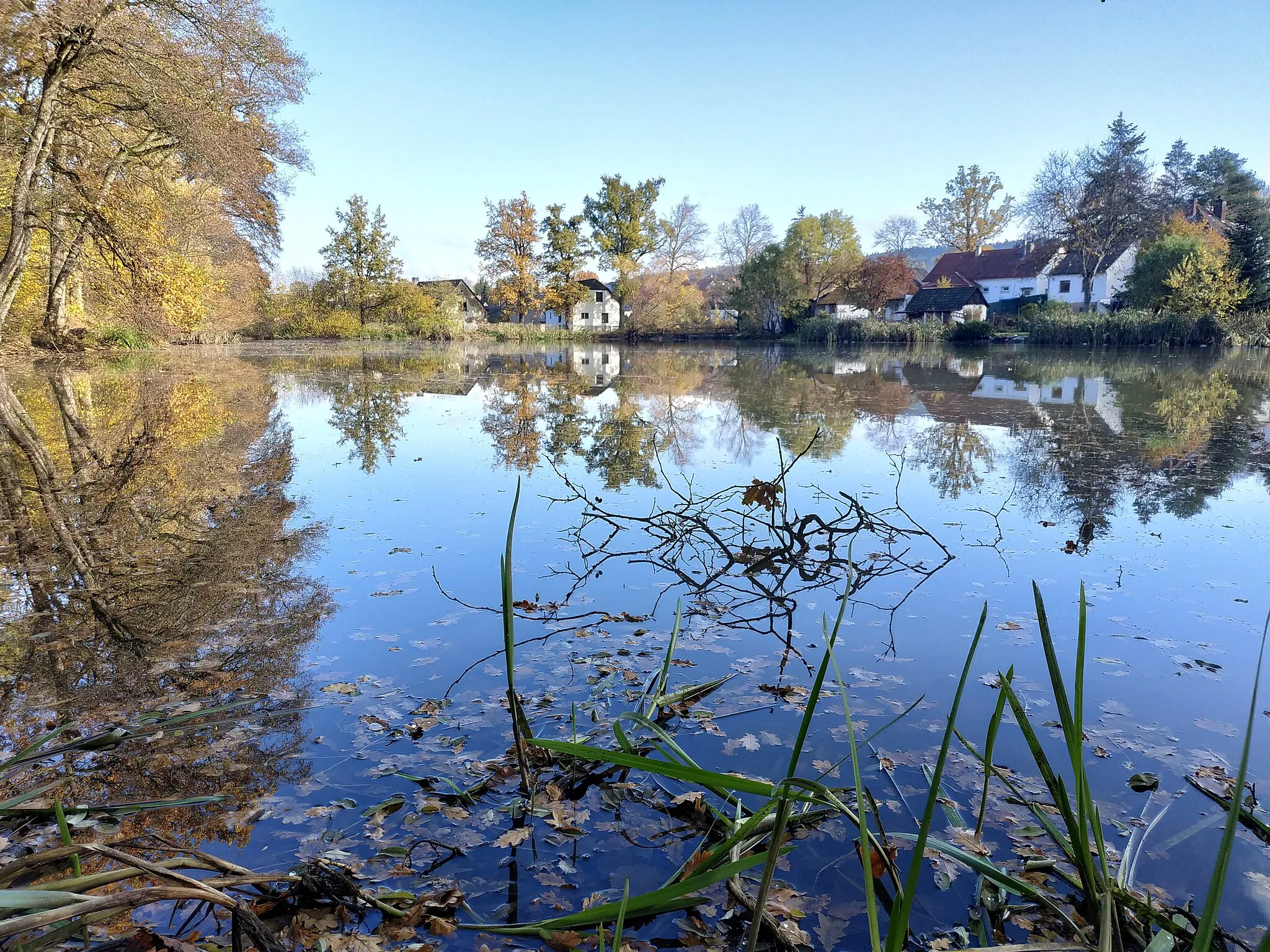 Photo showing: rybník