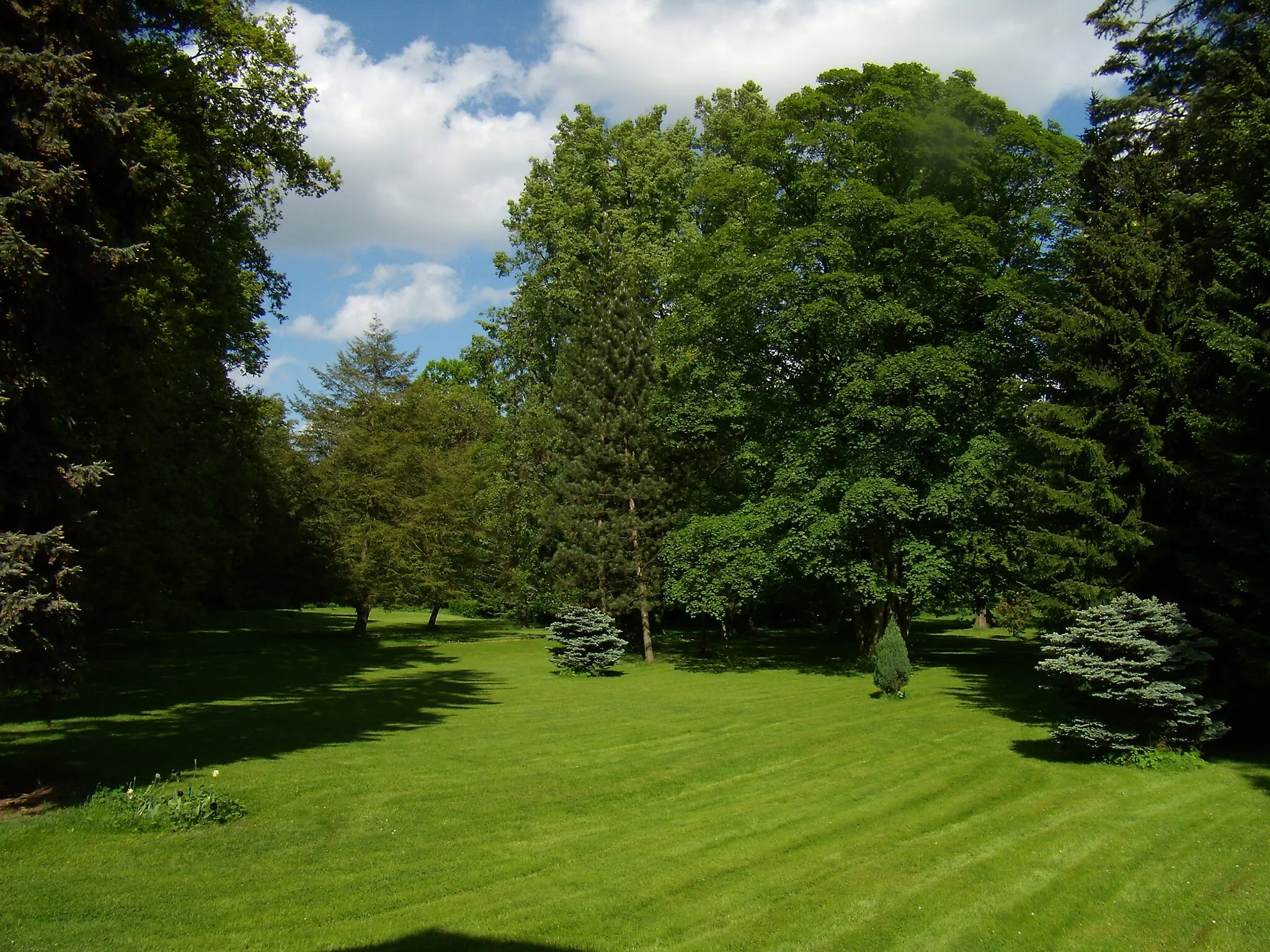 Photo showing: Úlice - zámecký park 2