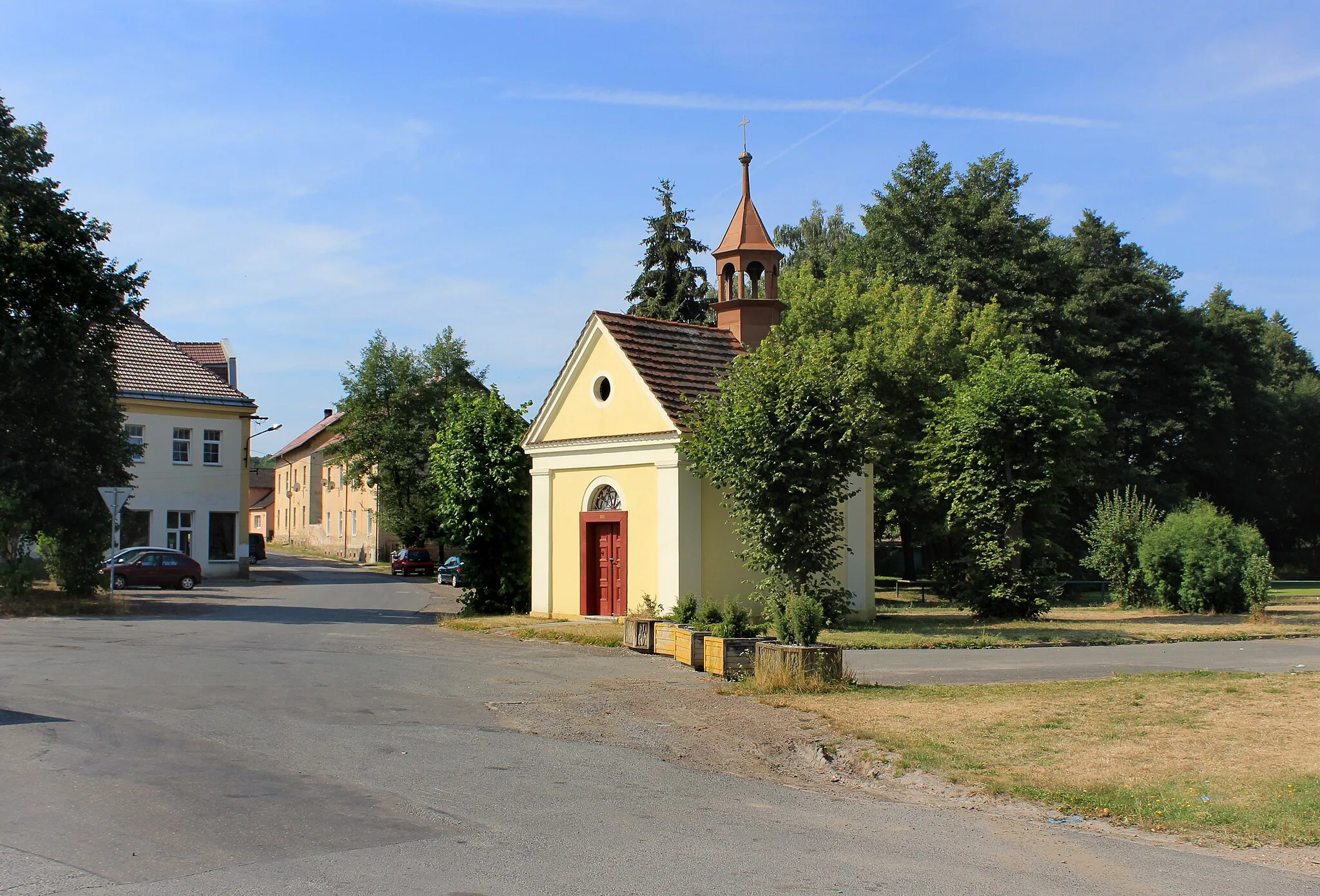 Photo showing: Common in Zbůch, Czech Republic.