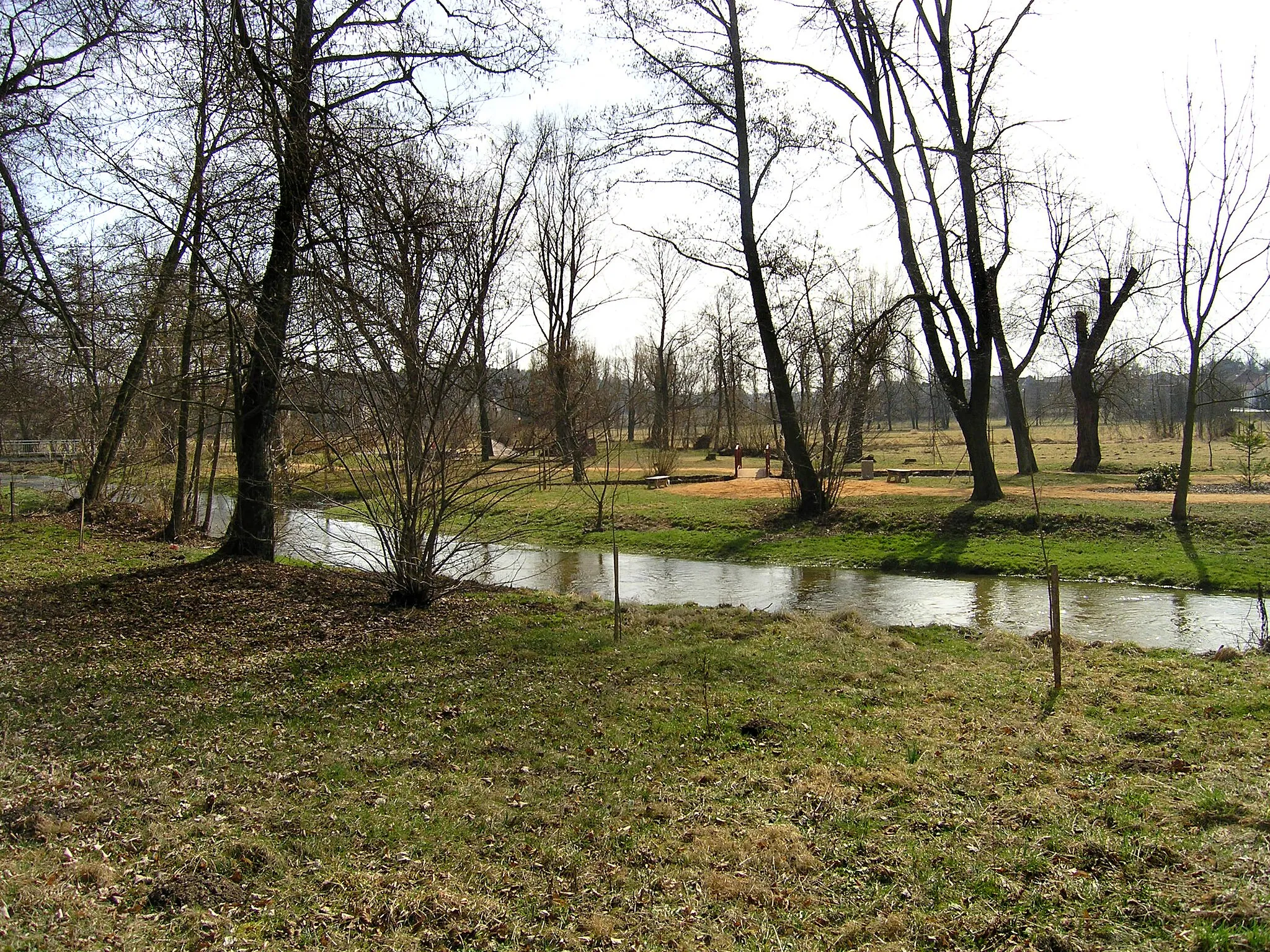 Photo showing: Třemošná River in Třemošná, Czech Republic