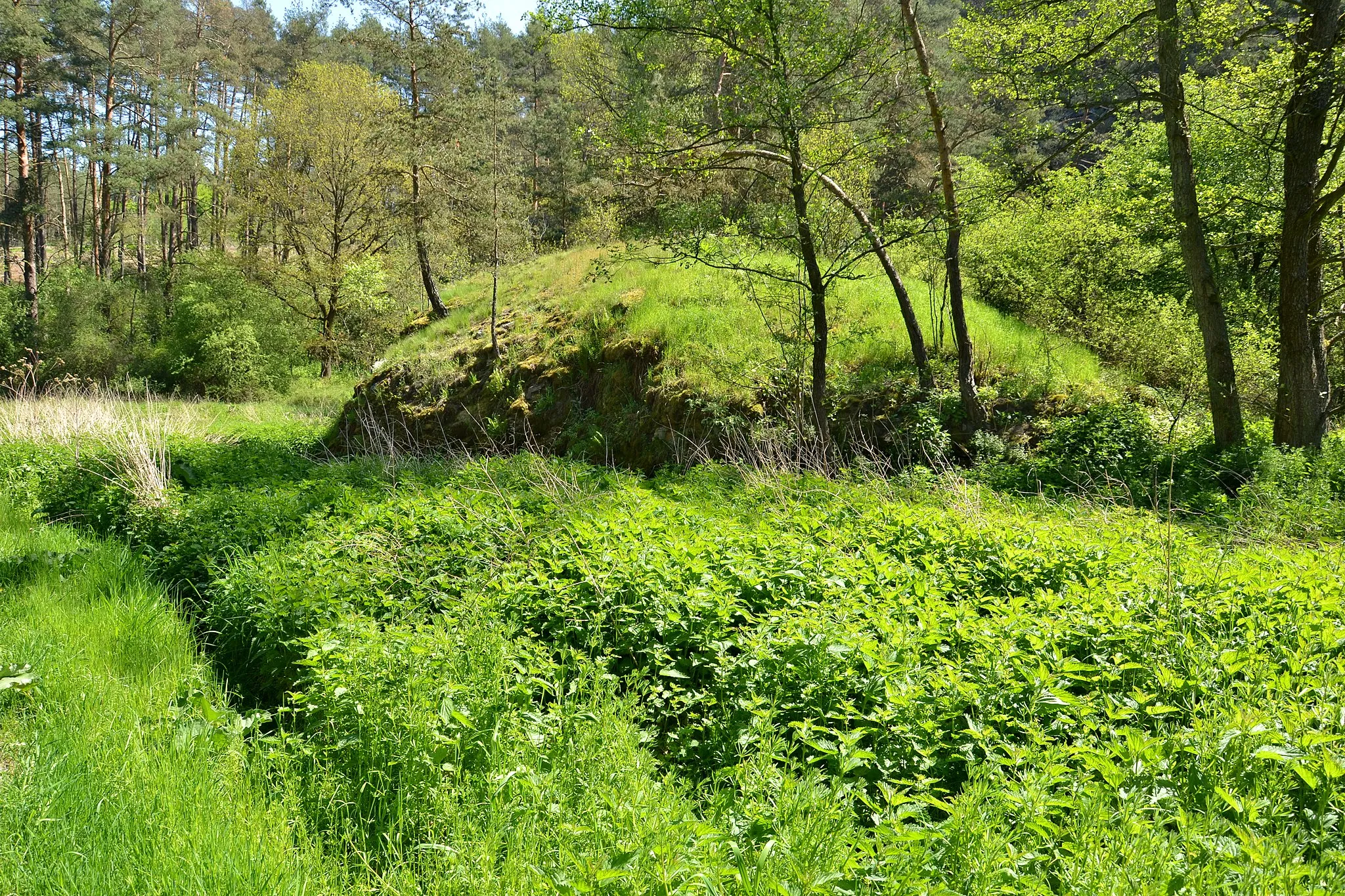 Photo showing: Čertova hráz – okrouhlík