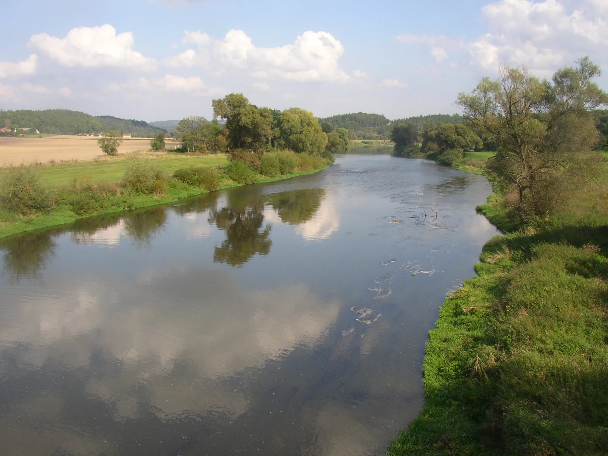 Photo showing: Berounka River as seen from Dolany Bridge near village of Dolany, Plzeň-North District, Czech Republic.
