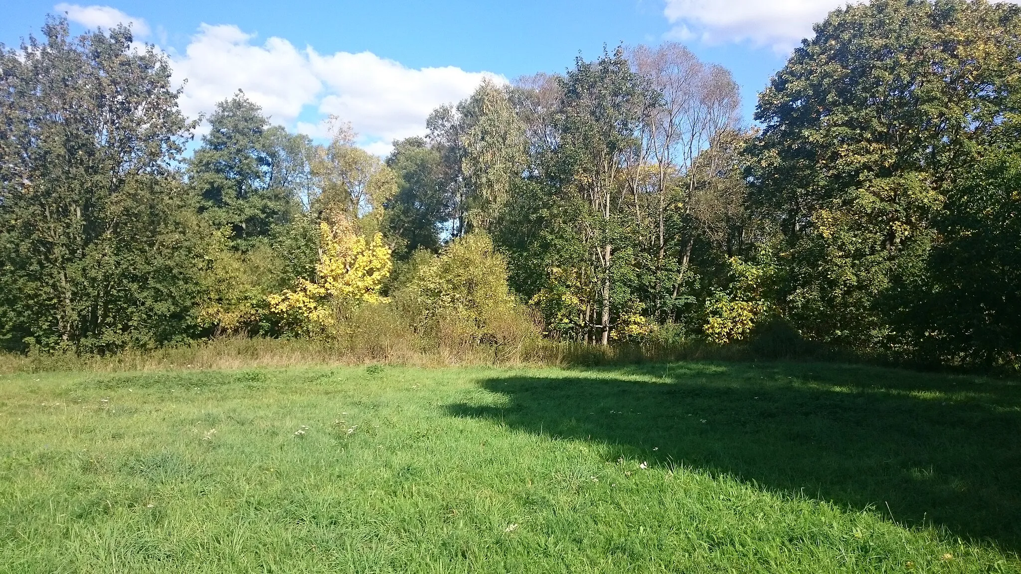 Photo showing: Semi-trailerin Potoc. District of Pilsen-sever, Czech Republic.