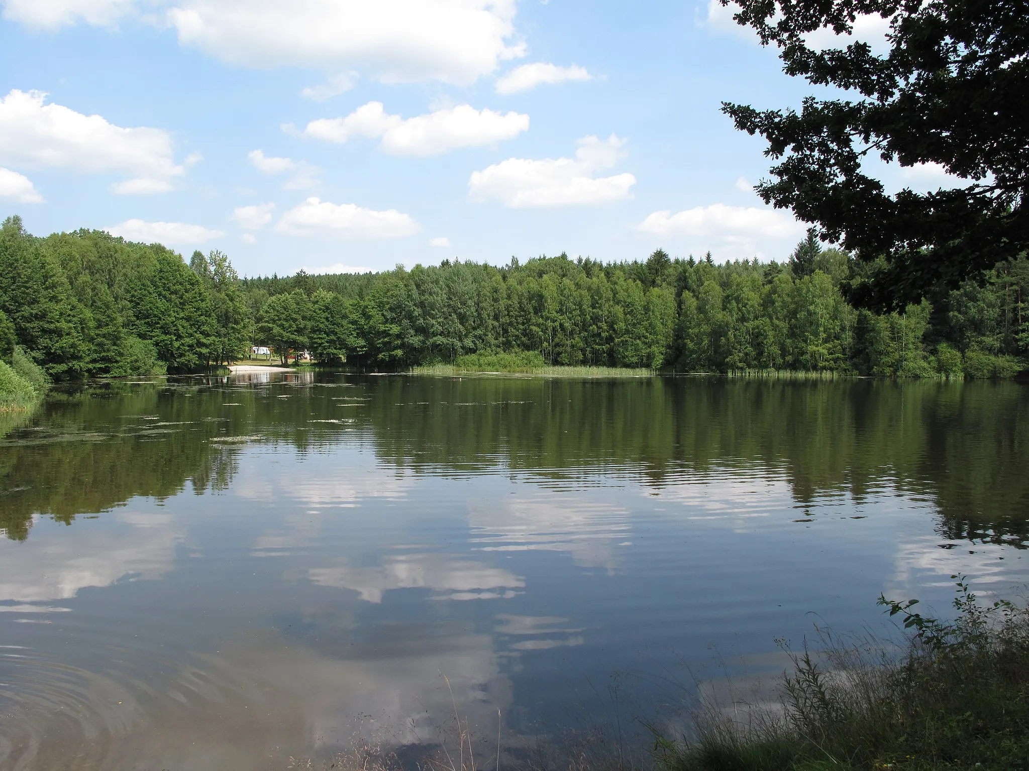 Photo showing: Trnovský Pond, okres Rokycany, Czech Republic.