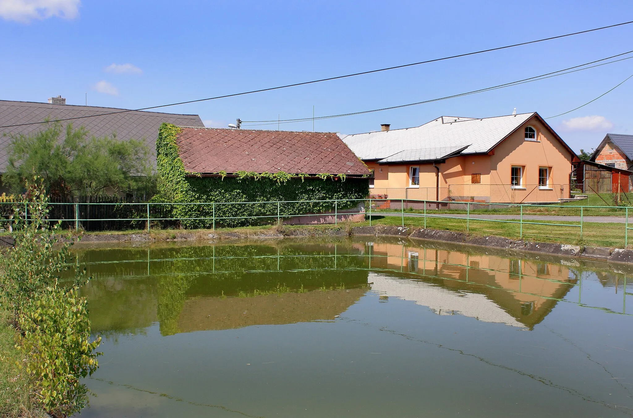 Photo showing: Local pond in Těně, Czech Republic
