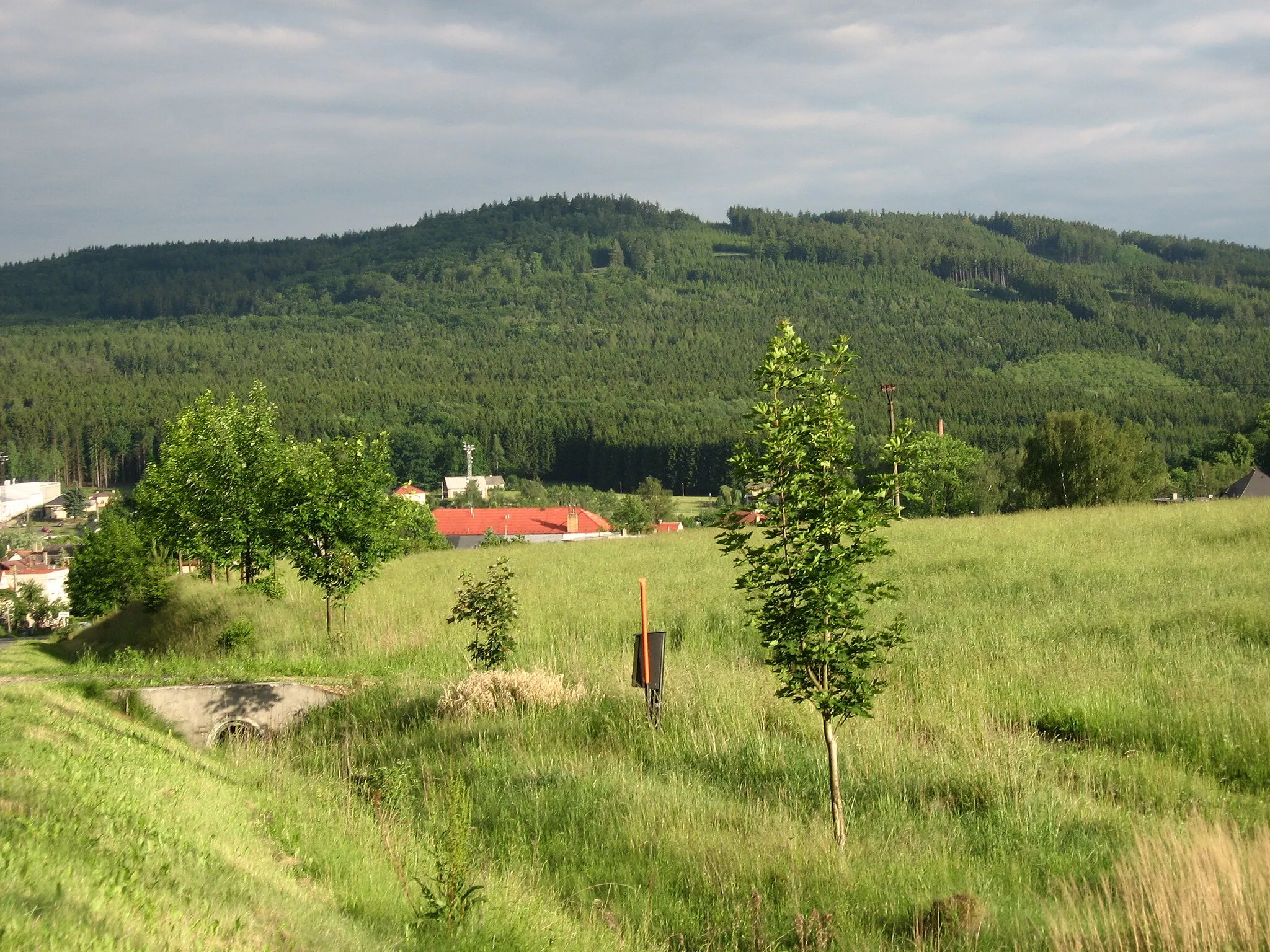 Photo showing: Trhoň hill near Holoubkov, Pilsener province, CZ.