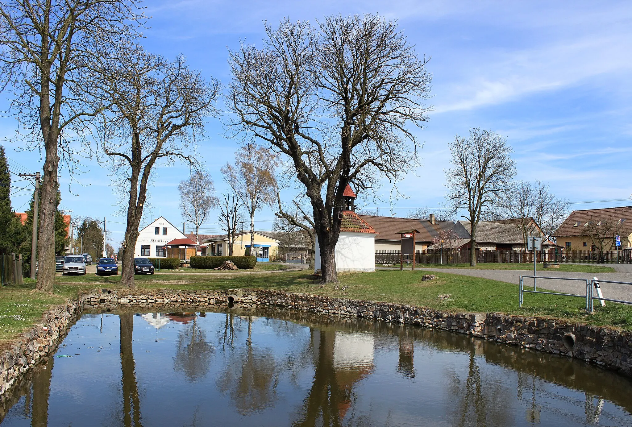 Photo showing: Common pond in Bezděkov village, Czech Republic.
