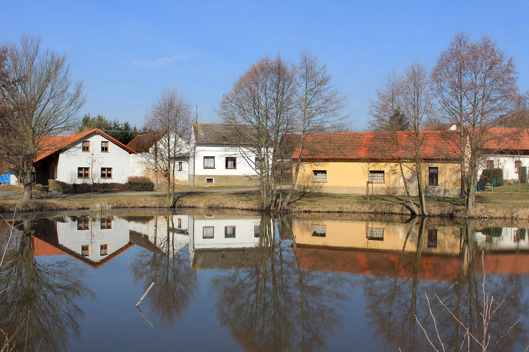 Photo showing: Common pond in Lhota u Stříbra, part of Stříbro, Czech Republic.