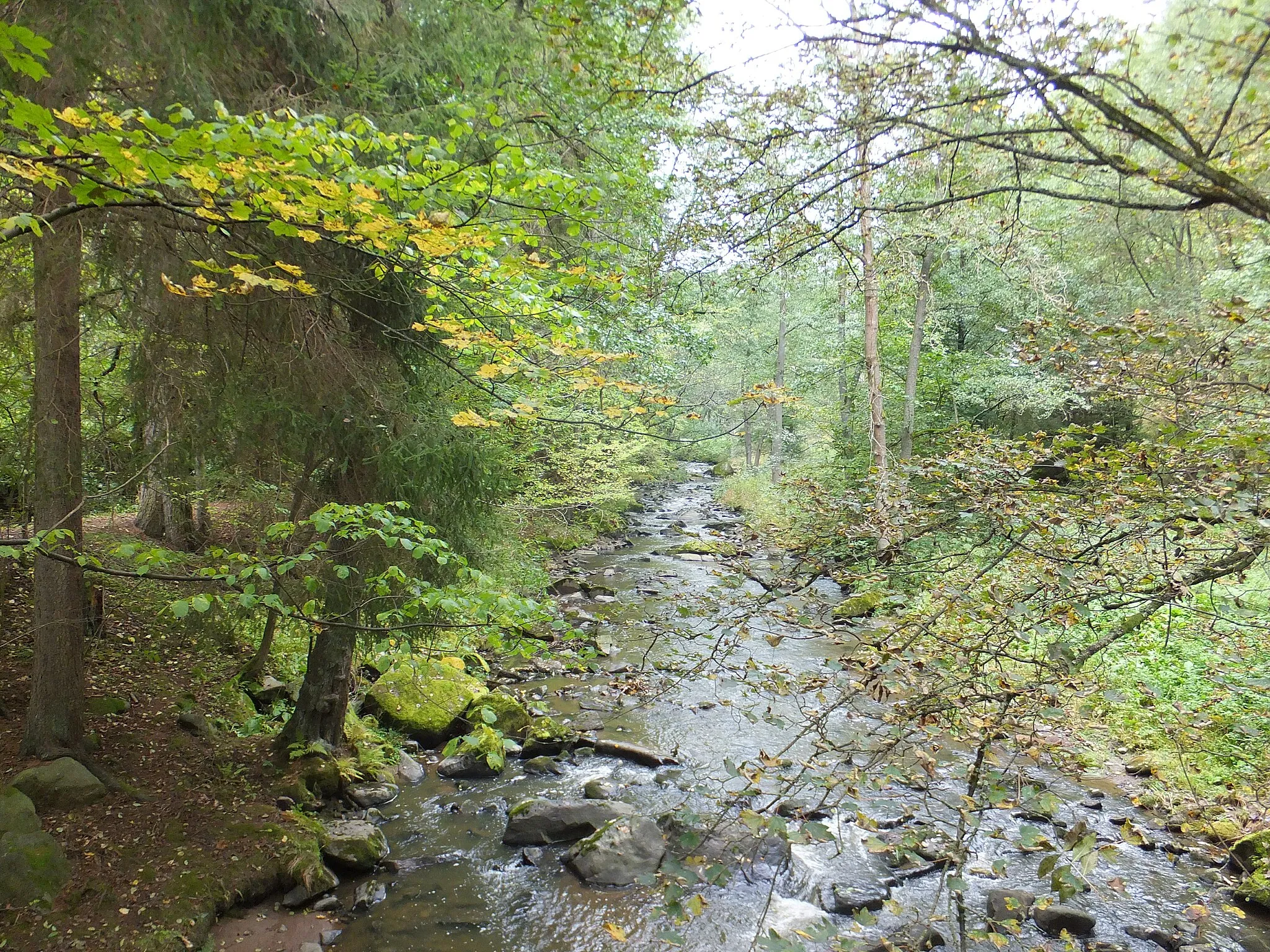 Photo showing: Kosí potok (Backbird's Creek) below Křínov