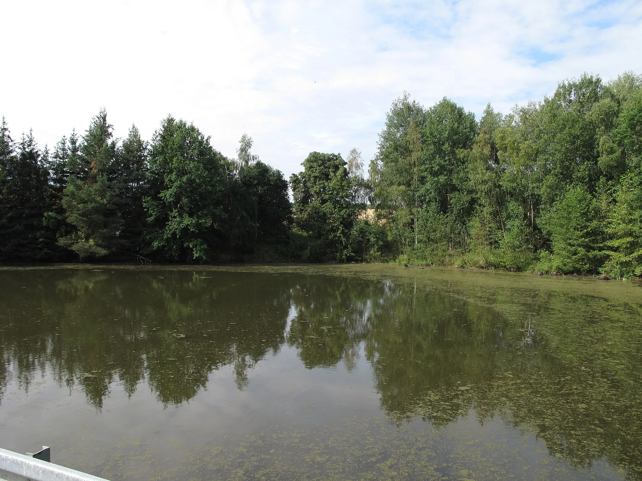 Photo showing: Pondin Lšelín. Tachov District, Czech Republic.