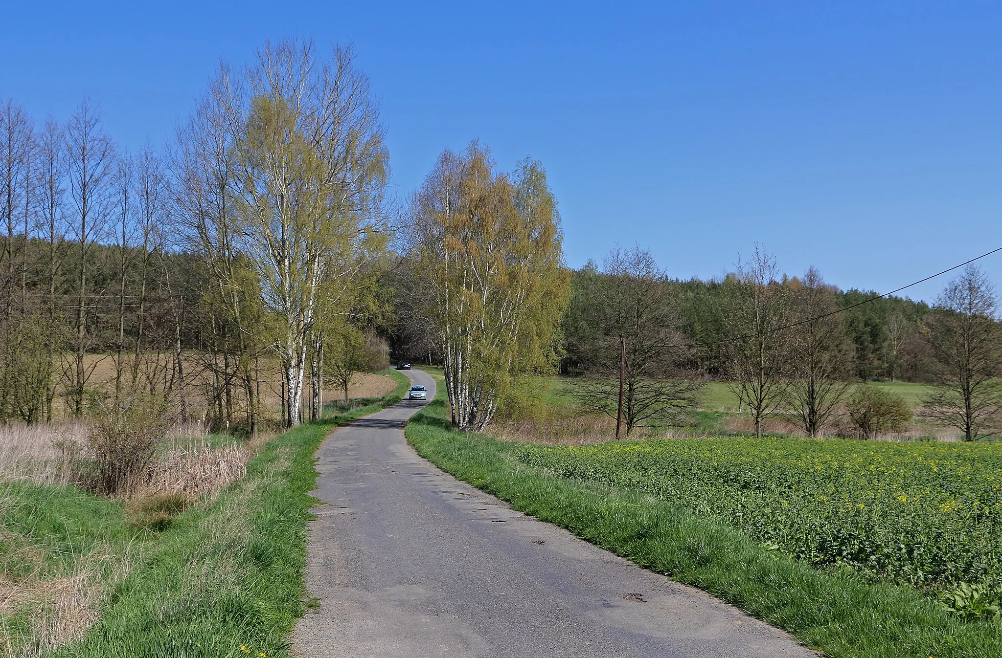 Photo showing: Road to Vrbice u Stříbra, part of Kladruby, Czech Republic.