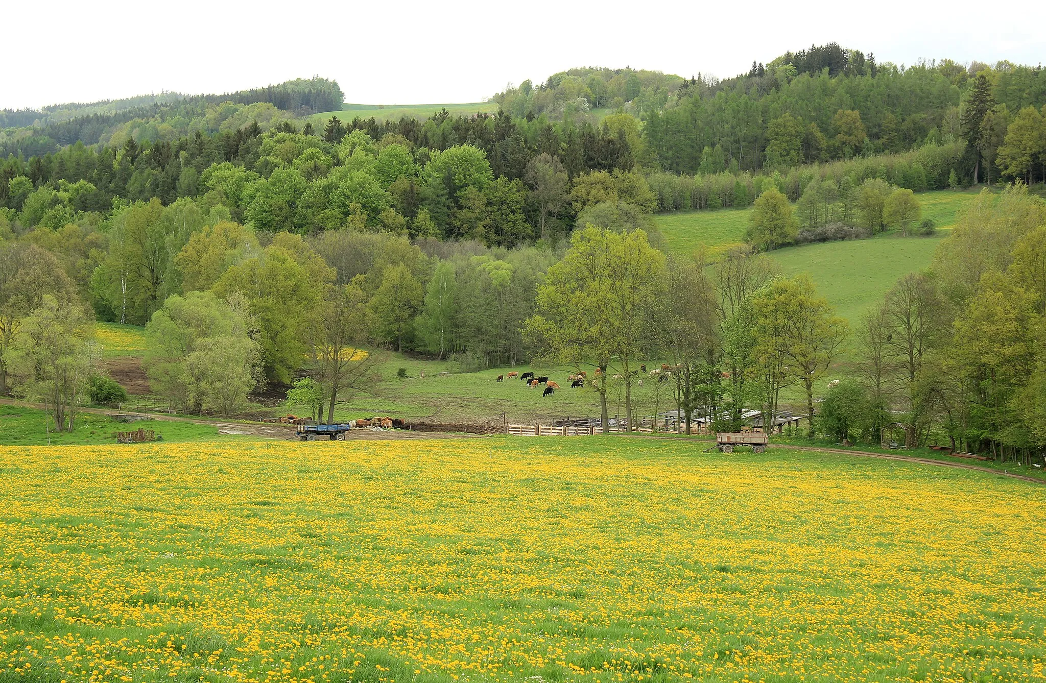 Photo showing: Pastures north from Dolní Dobřejov, part of Střezimíř, Czech Republic.