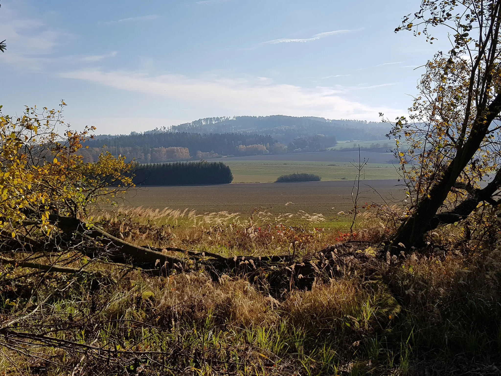 Photo showing: Džbány (688 m) - pohled na masiv od severu, z úbočí vrchu Kárník u Stržence a Ouběnic